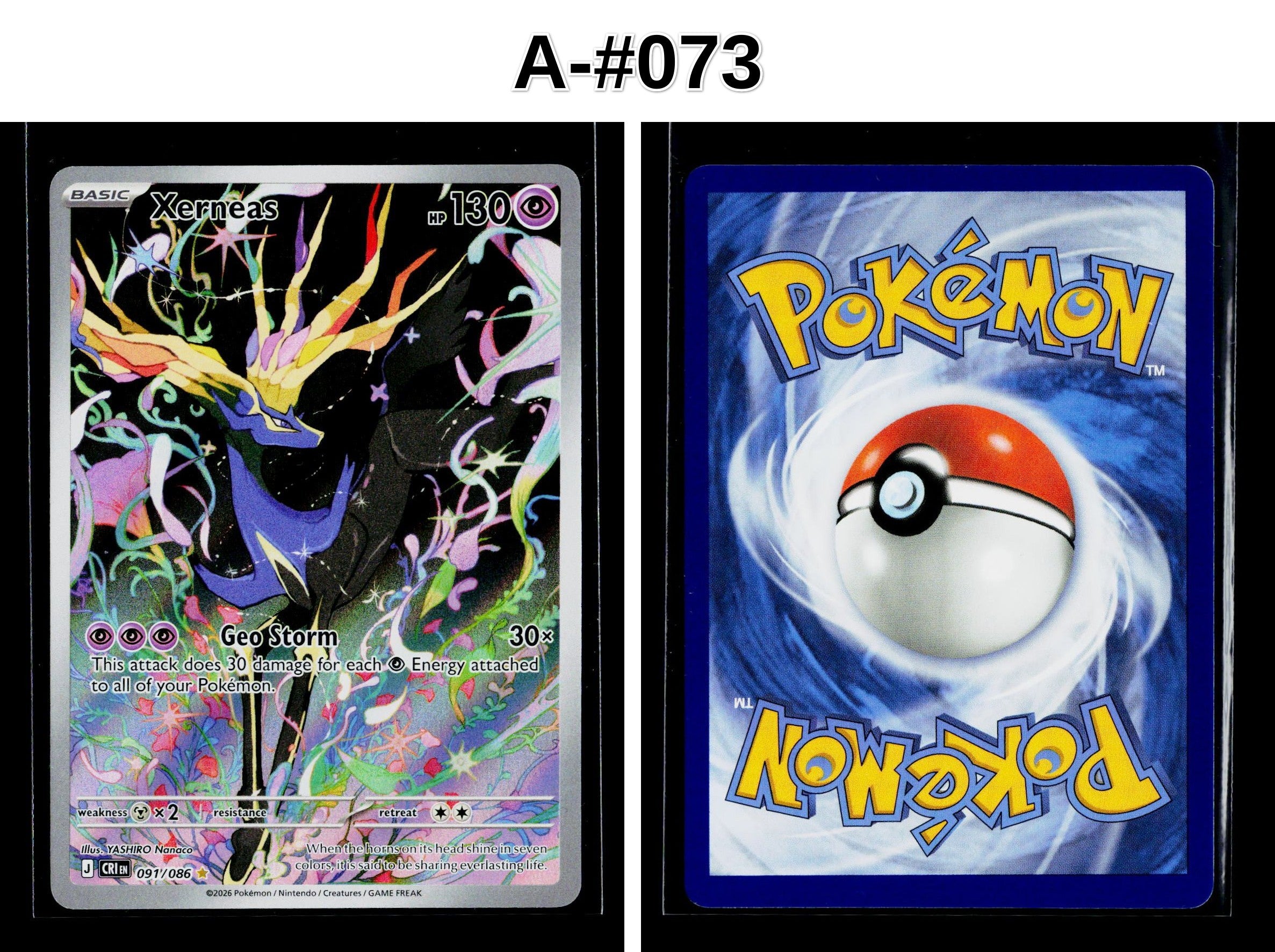 Front + Back scan