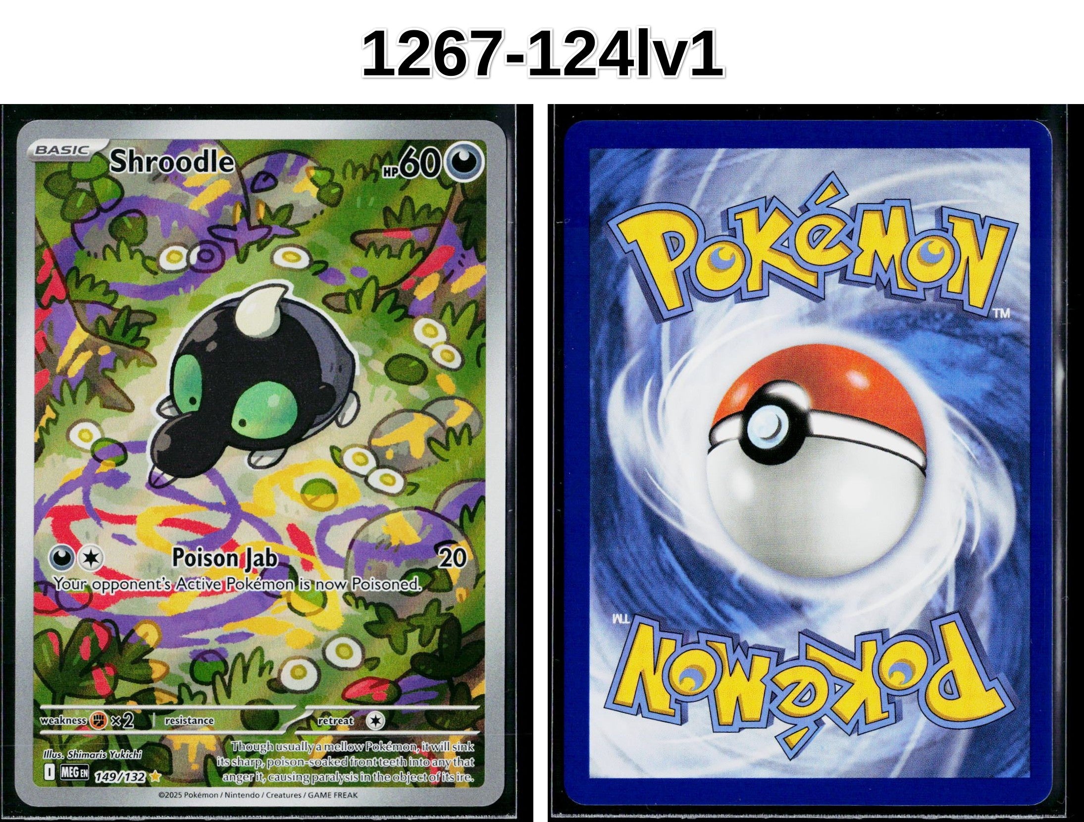 Front + Back scan