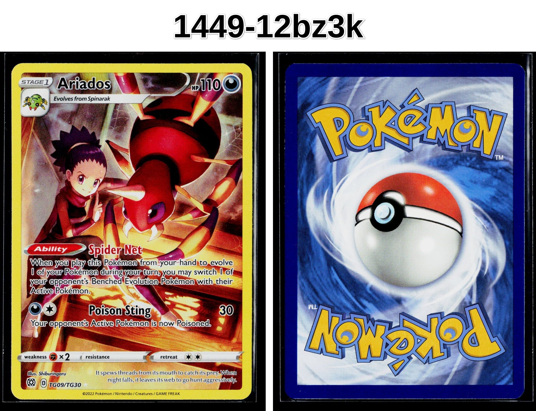Front + Back scan