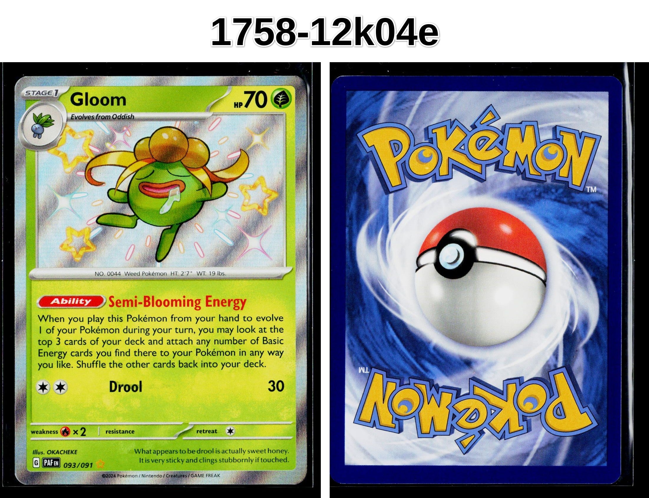 Front + Back scan