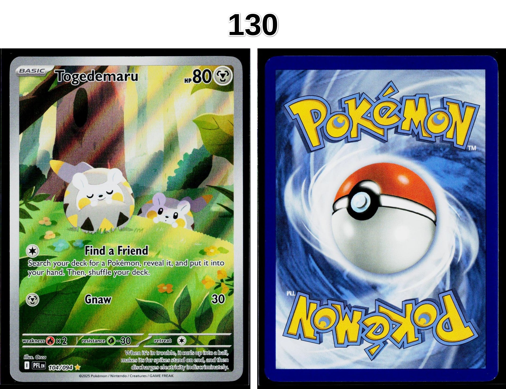 Front + Back scan