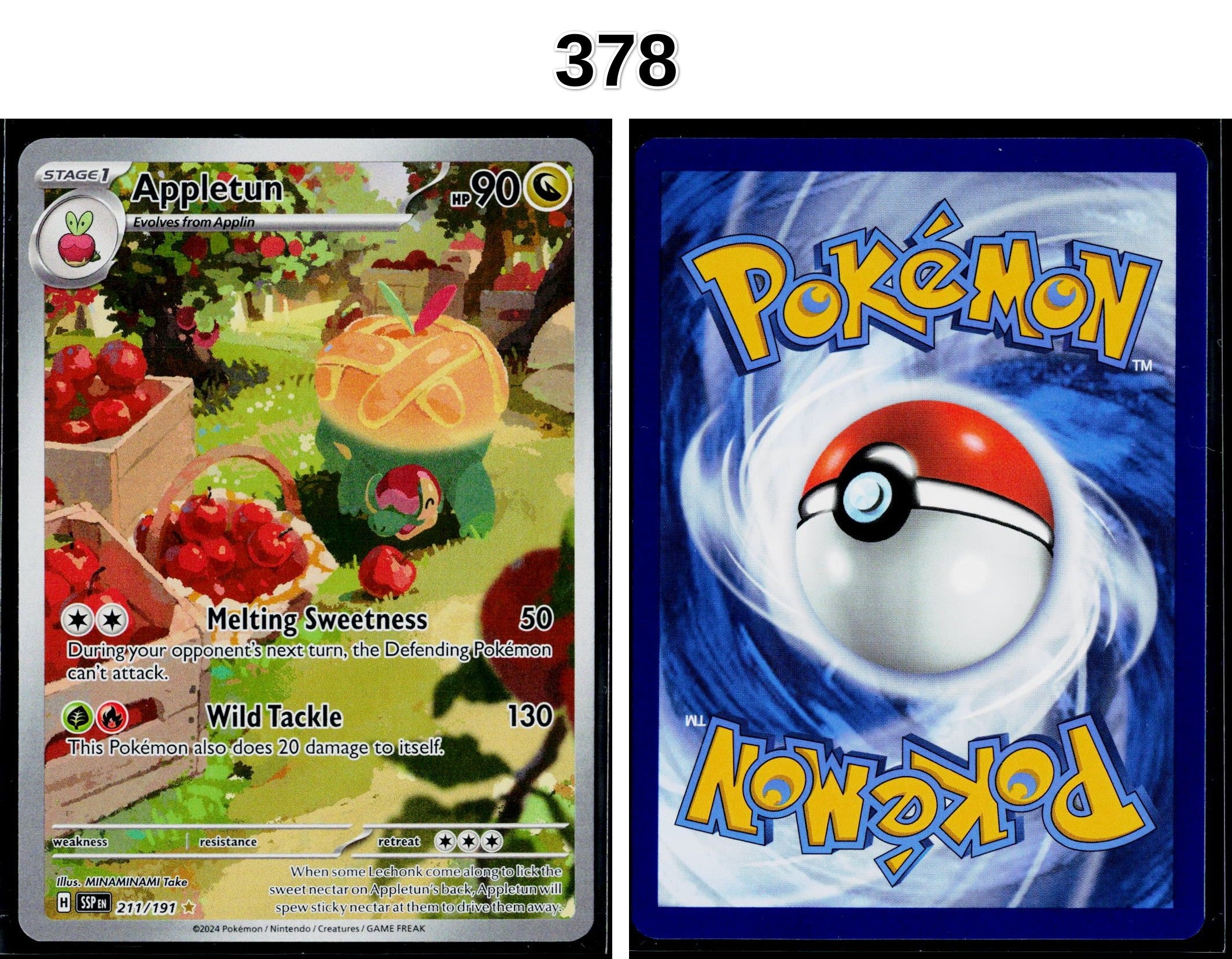 Front + Back scan