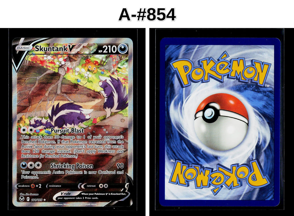 Front + Back scan