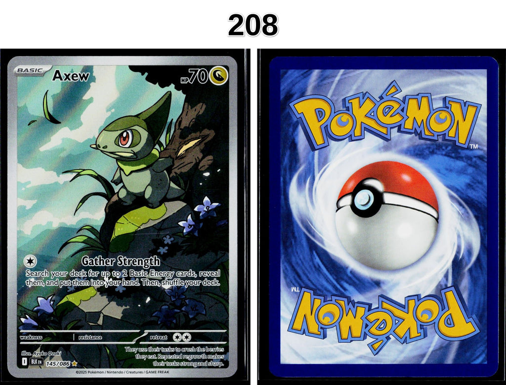 Front + Back scan