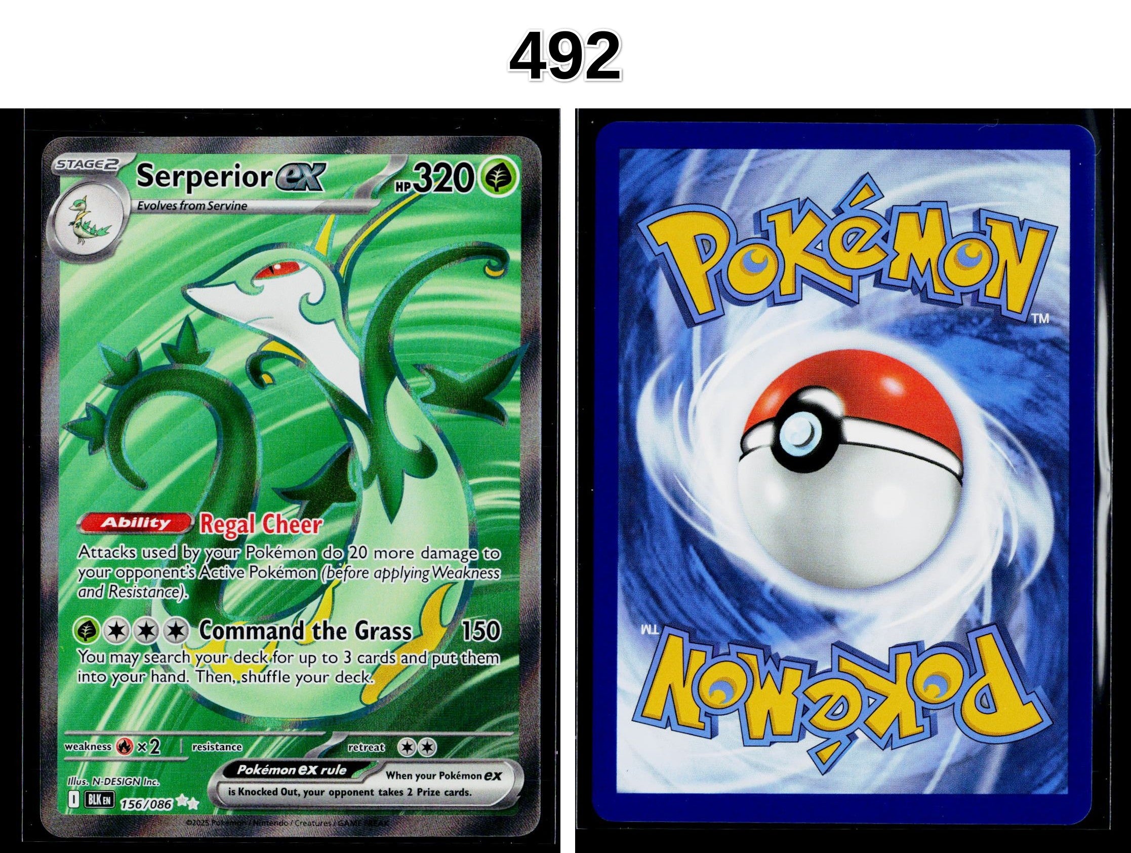 Front + Back scan