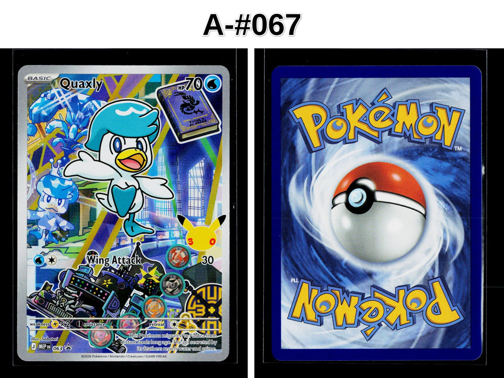 Front + Back scan