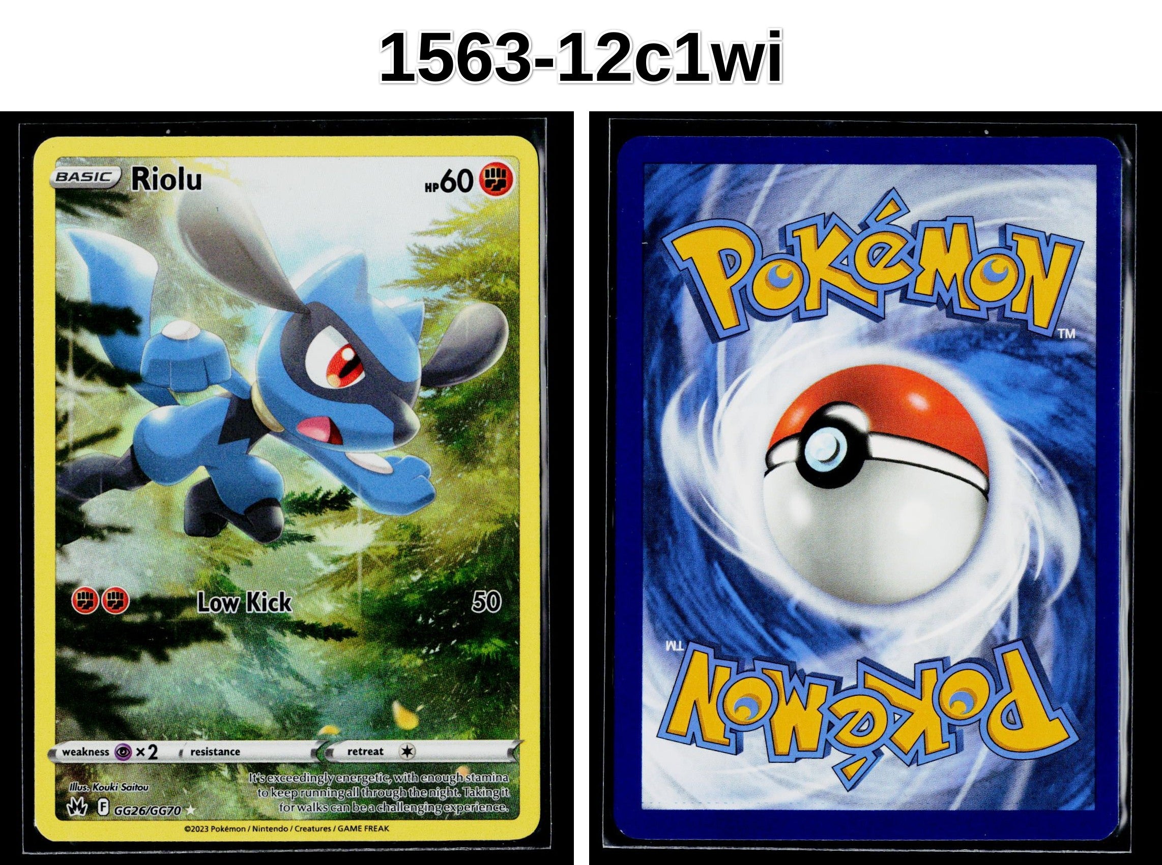 Front + Back scan