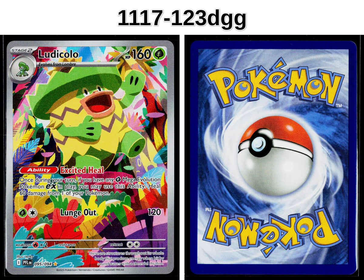 Front + Back scan | Near Mint / 1117-123dgg / Holofoil