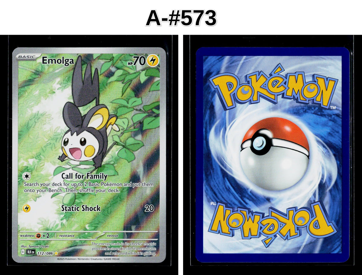 Front + Back scan