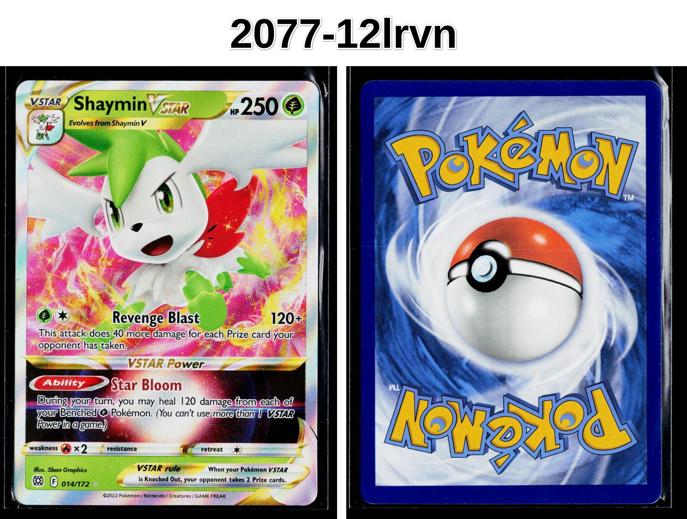 Front + Back scan