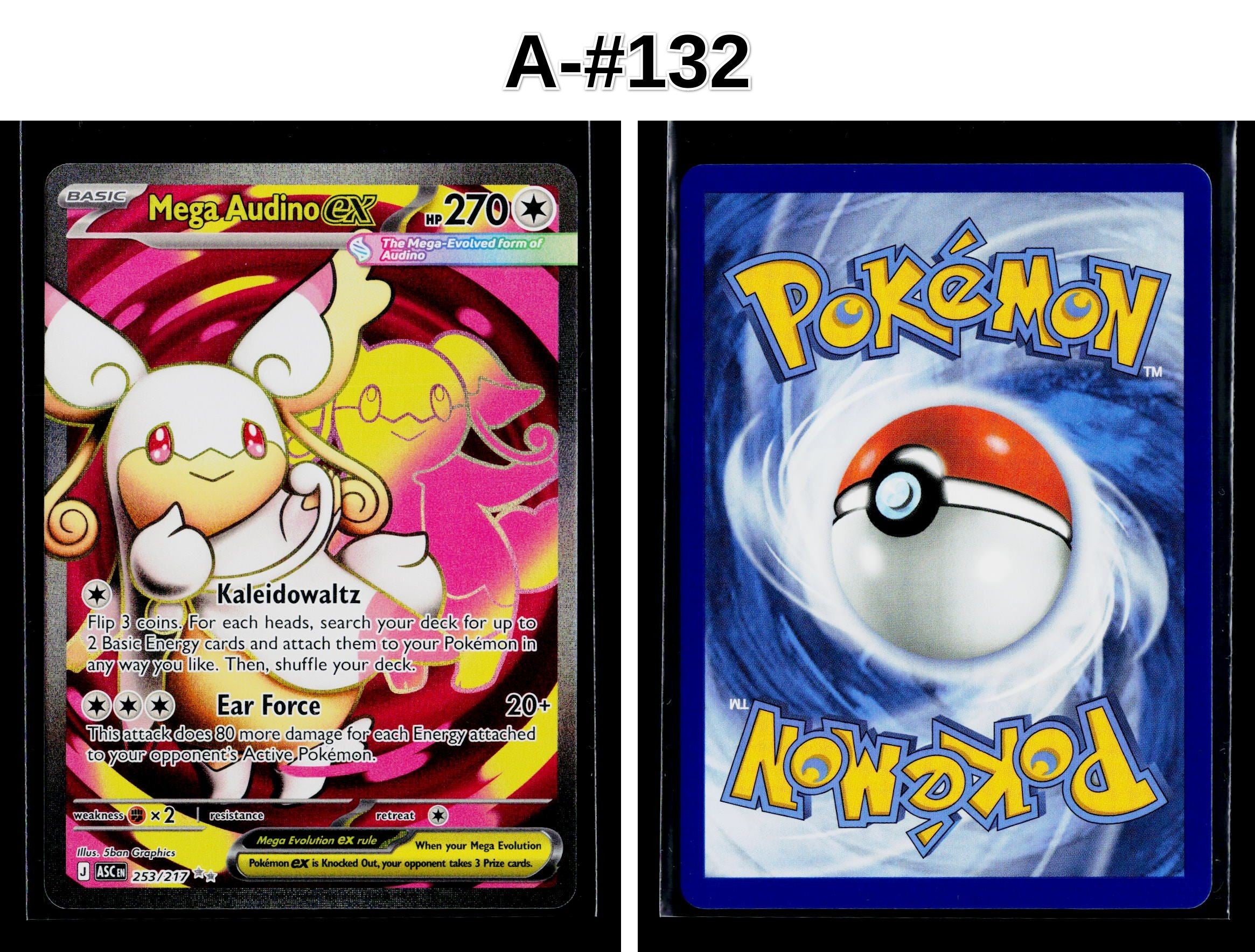 Front + Back scan