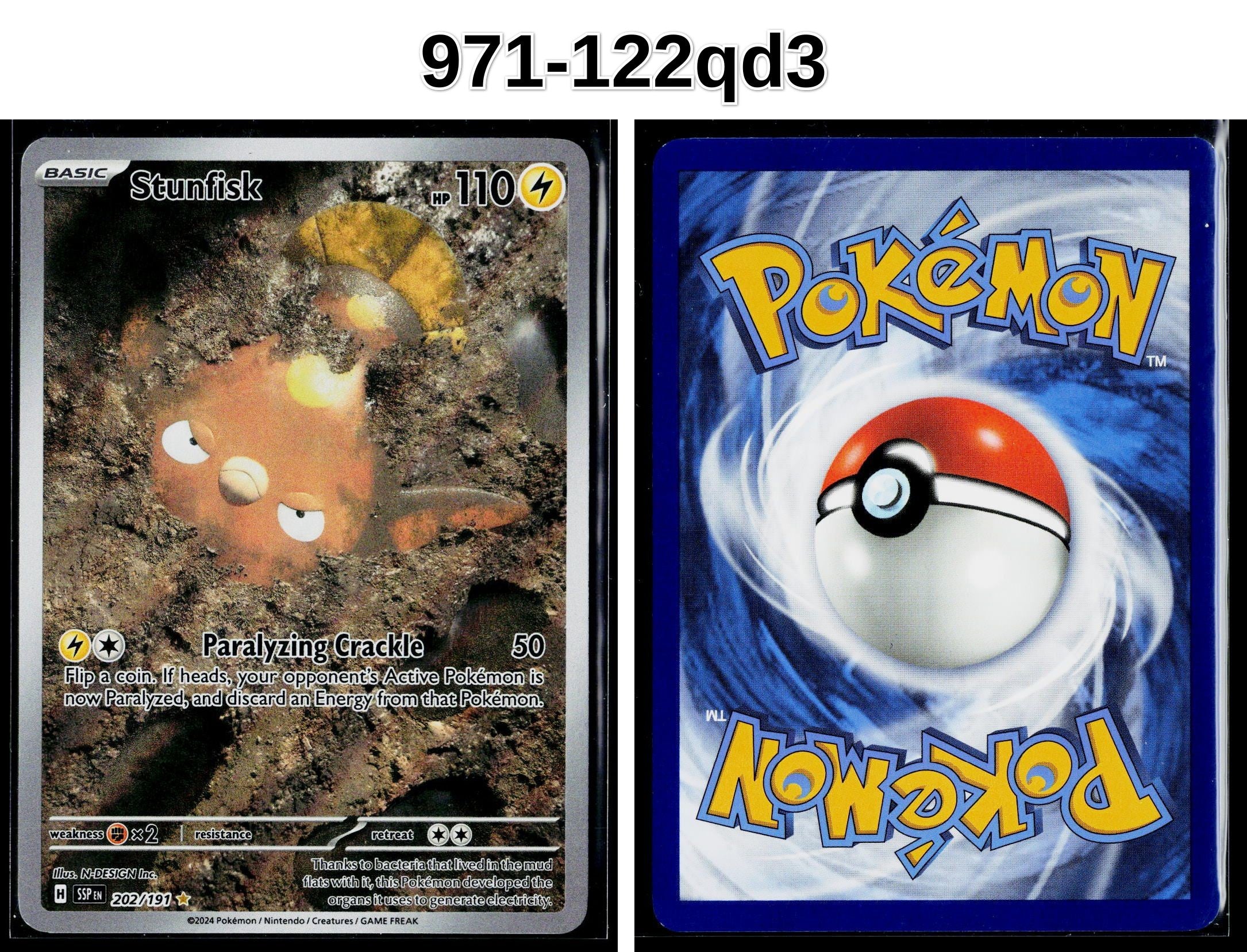 Front + Back scan