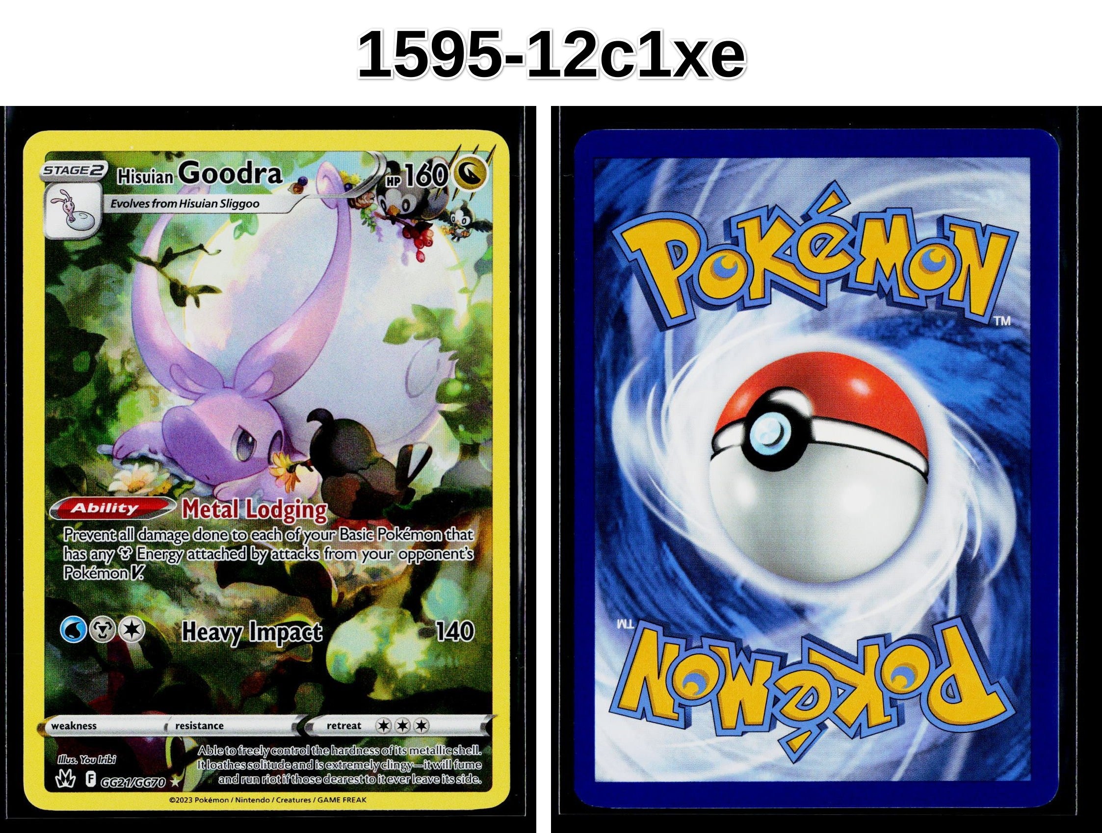 Front + Back scan