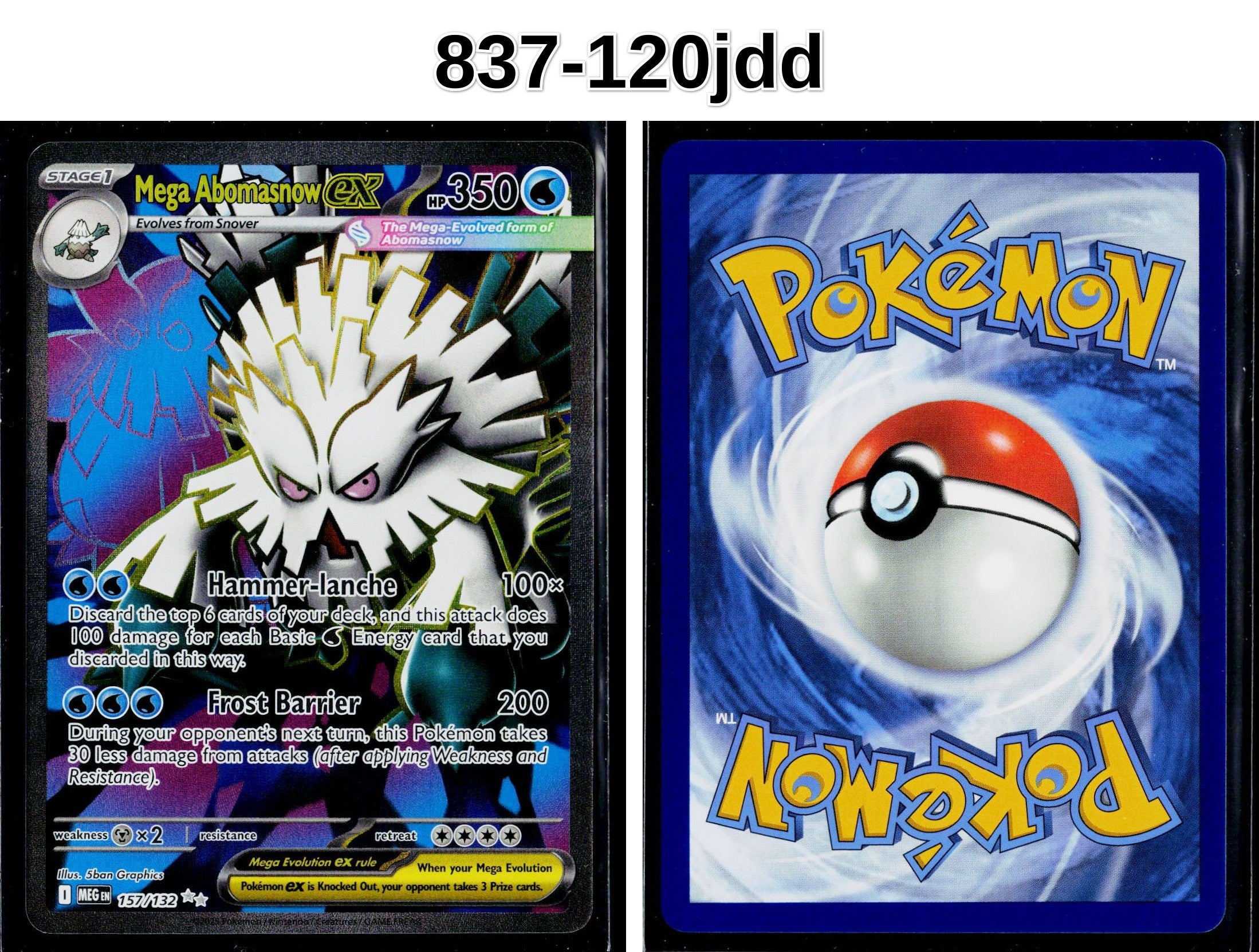 Front + Back scan