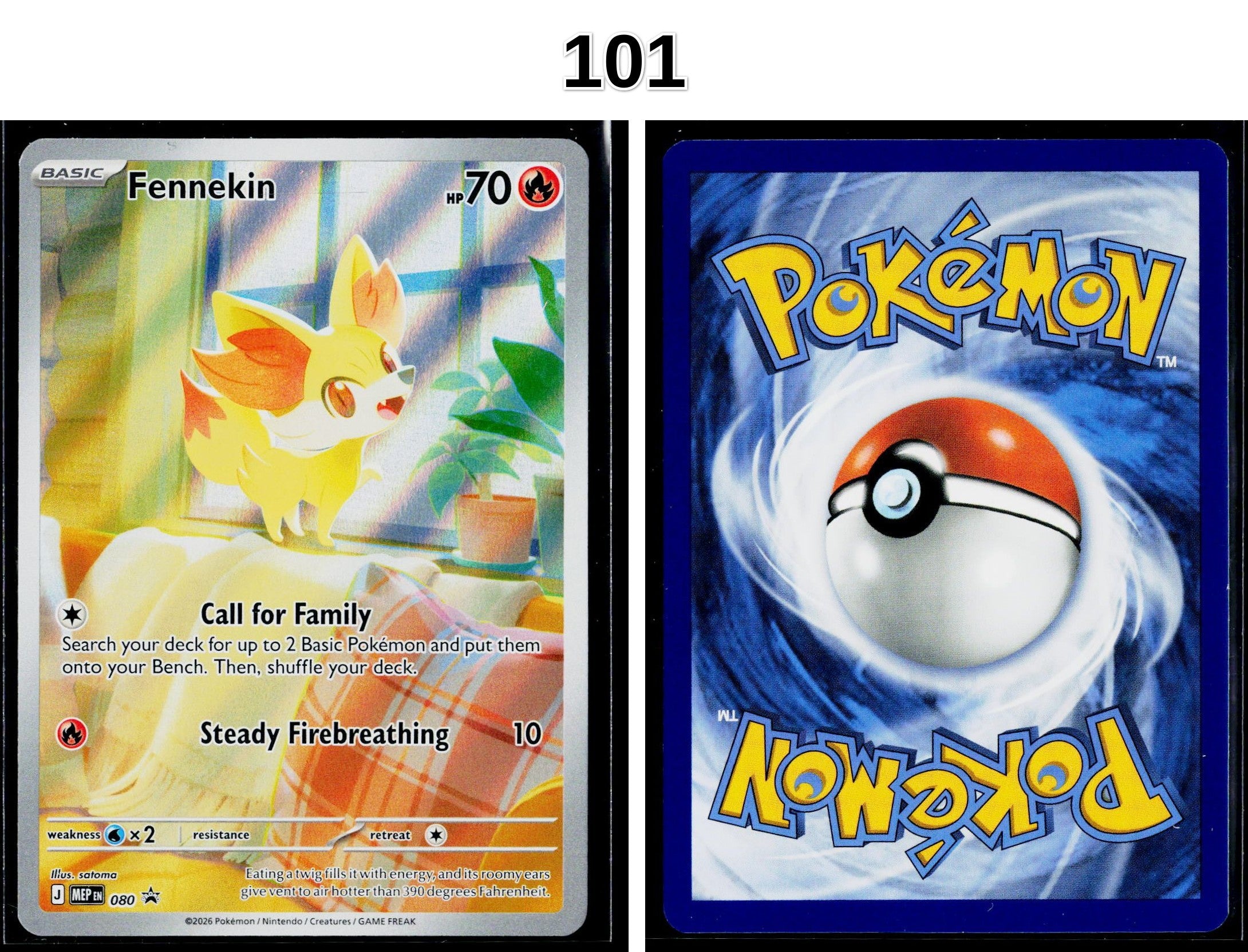 Front + Back scan