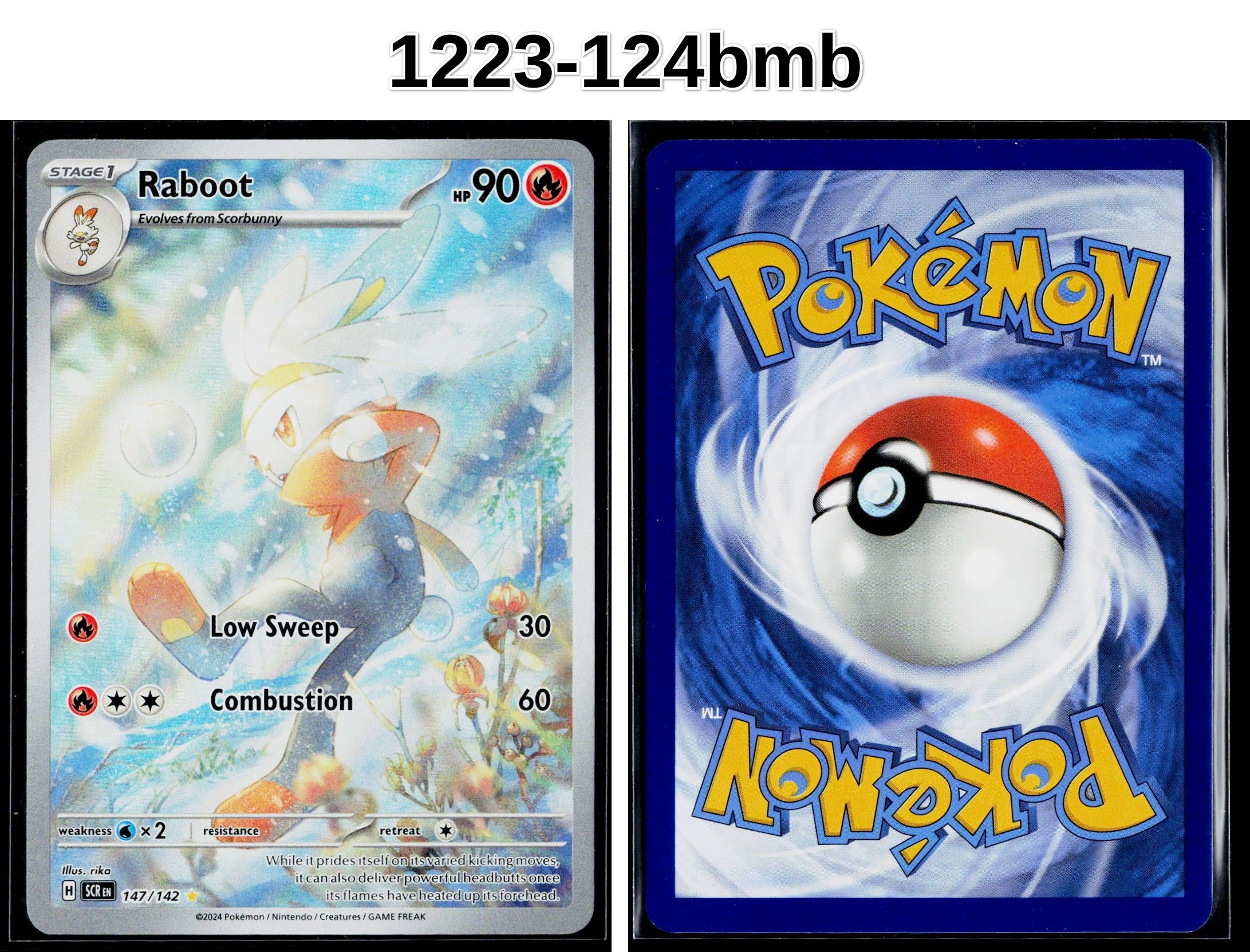Front + Back scan