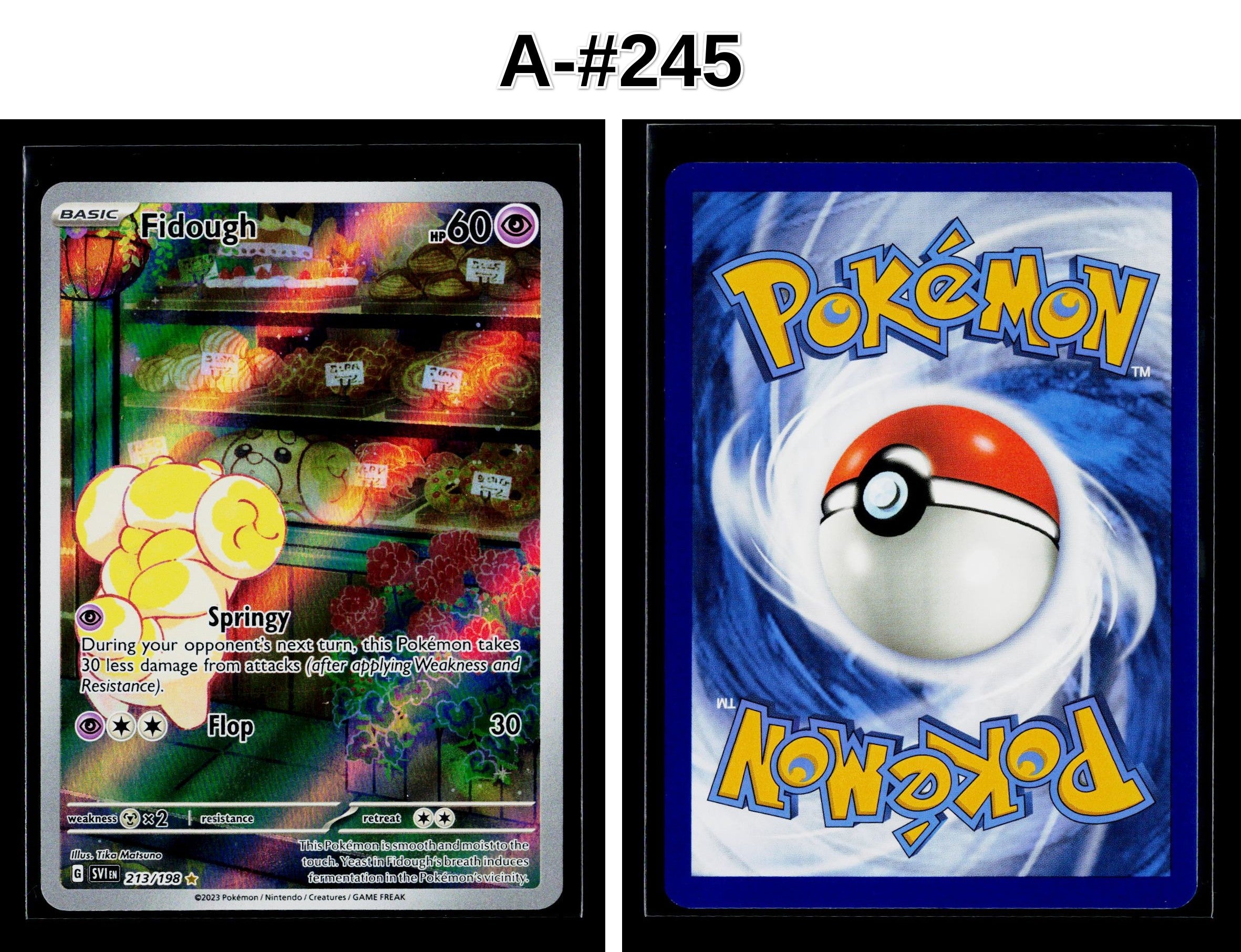 Front + Back scan