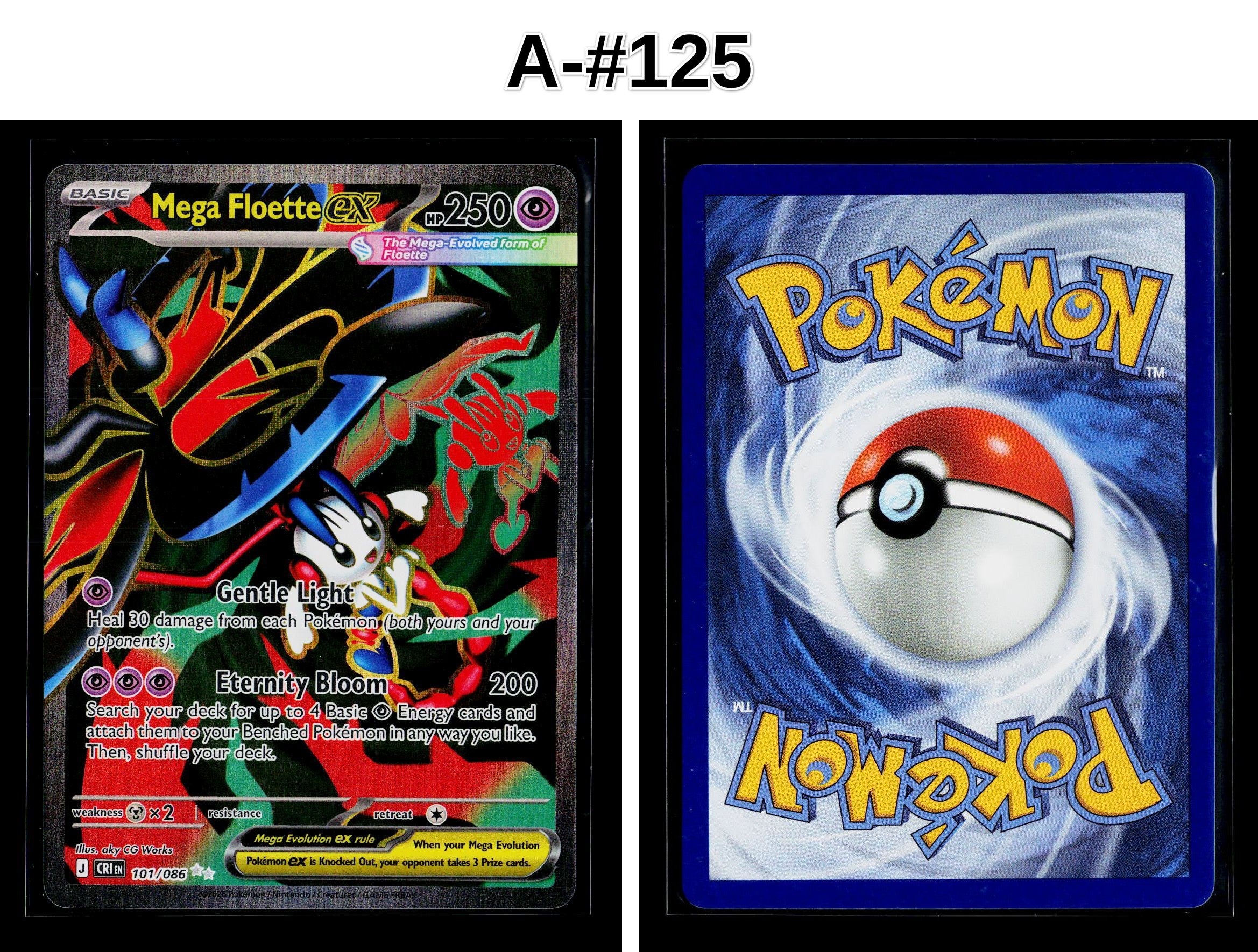 Front + Back scan
