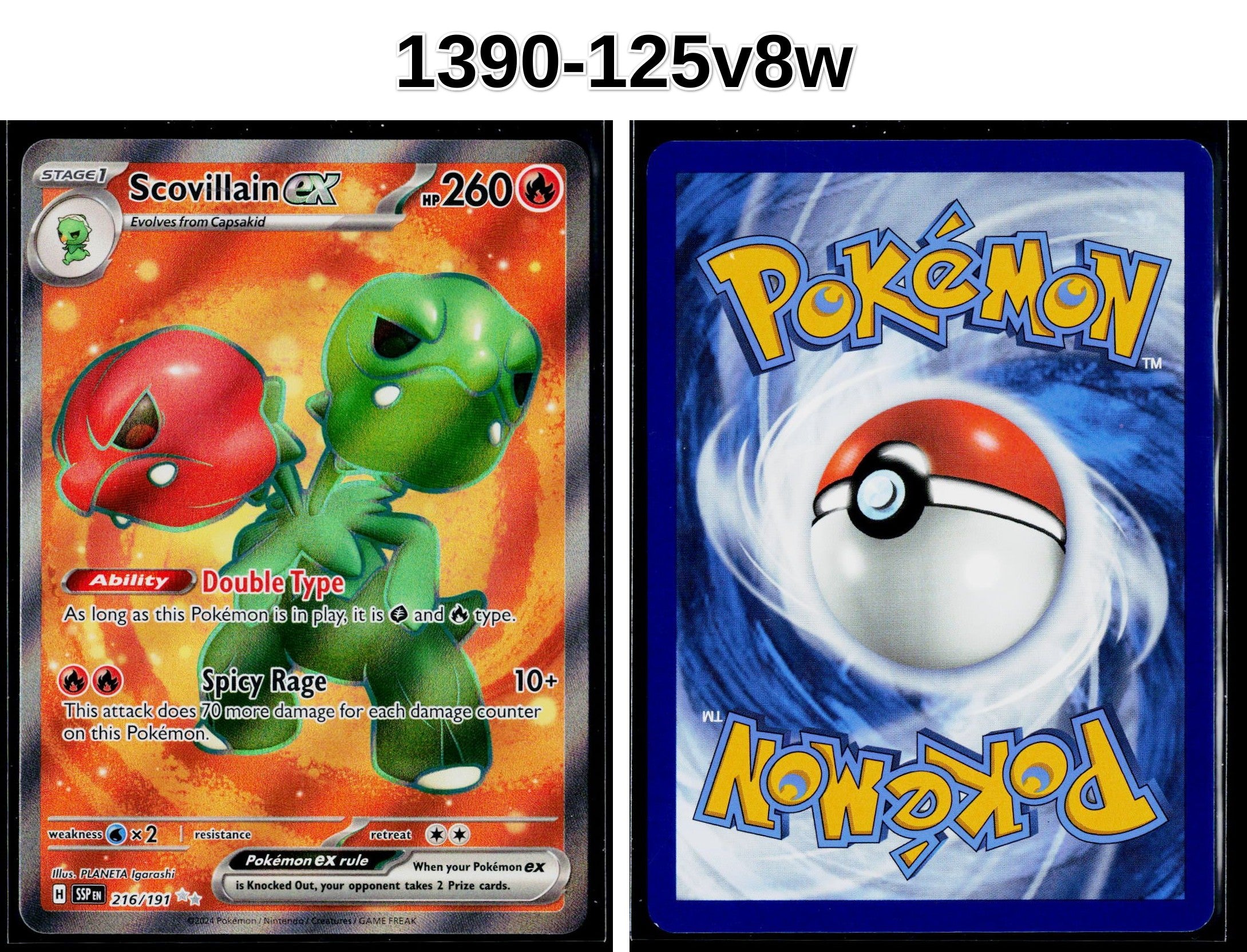 Front + Back scan