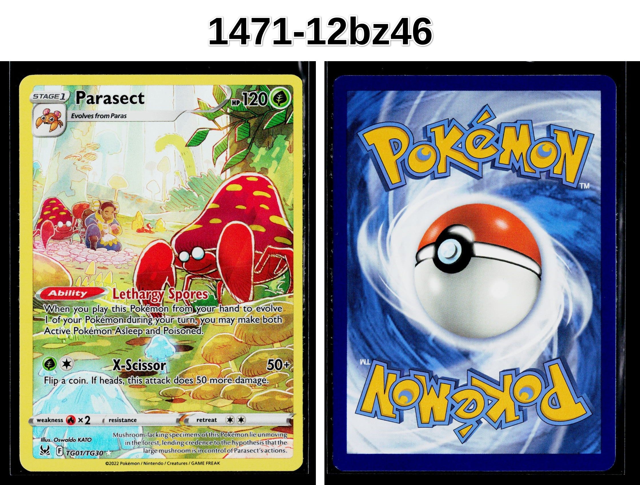 Front + Back scan