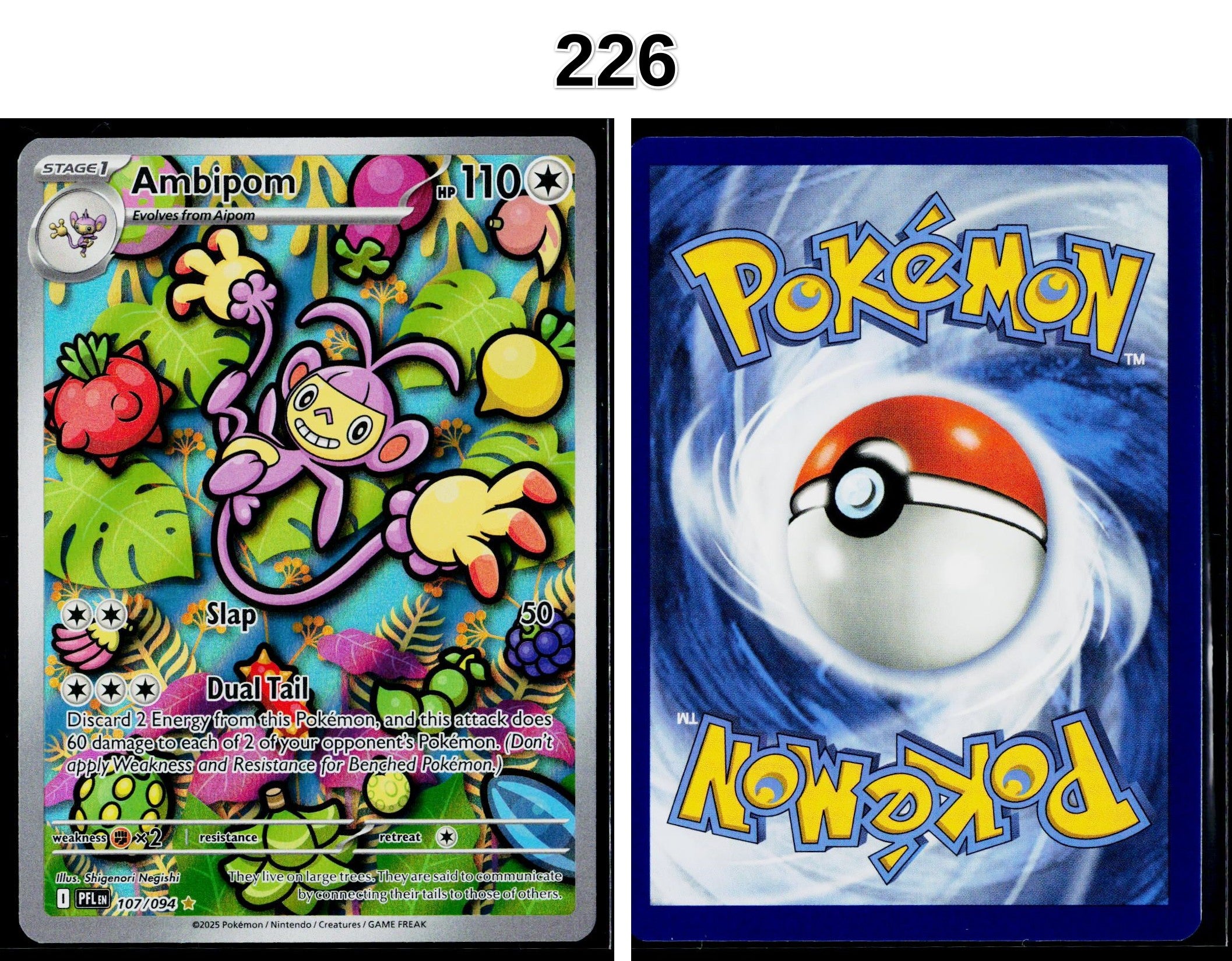 Front + Back scan