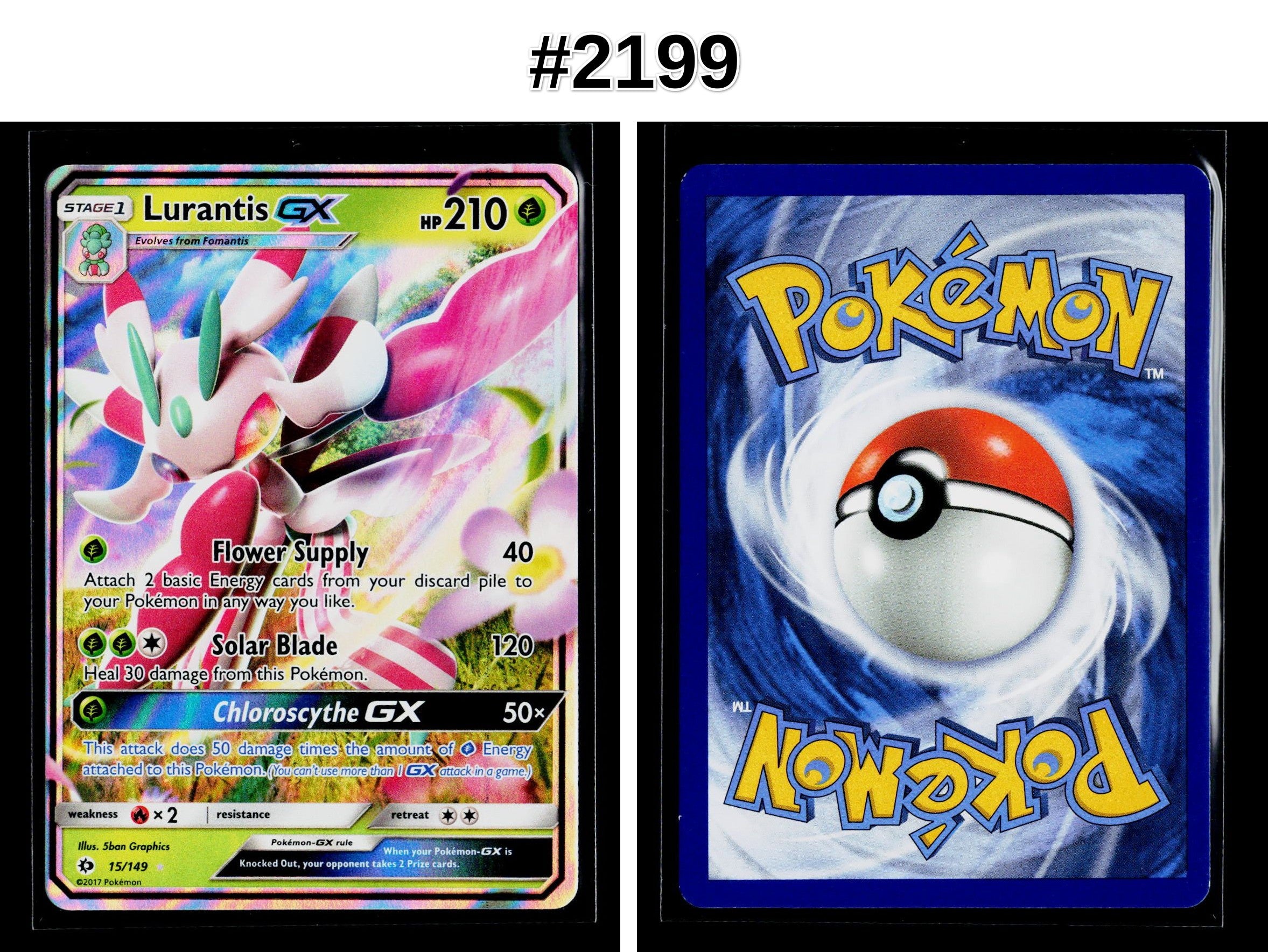Front + Back scan