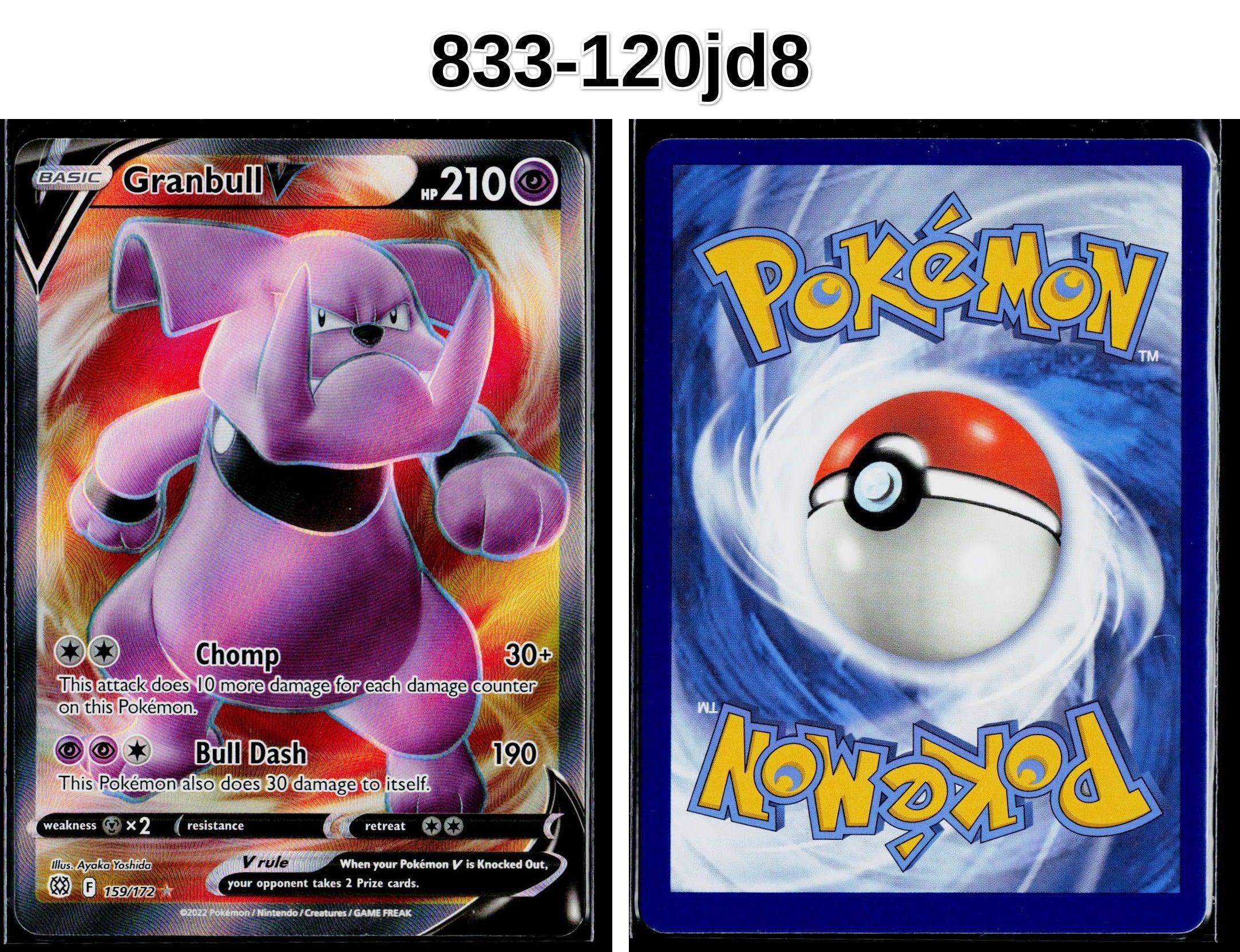 Front + Back scan