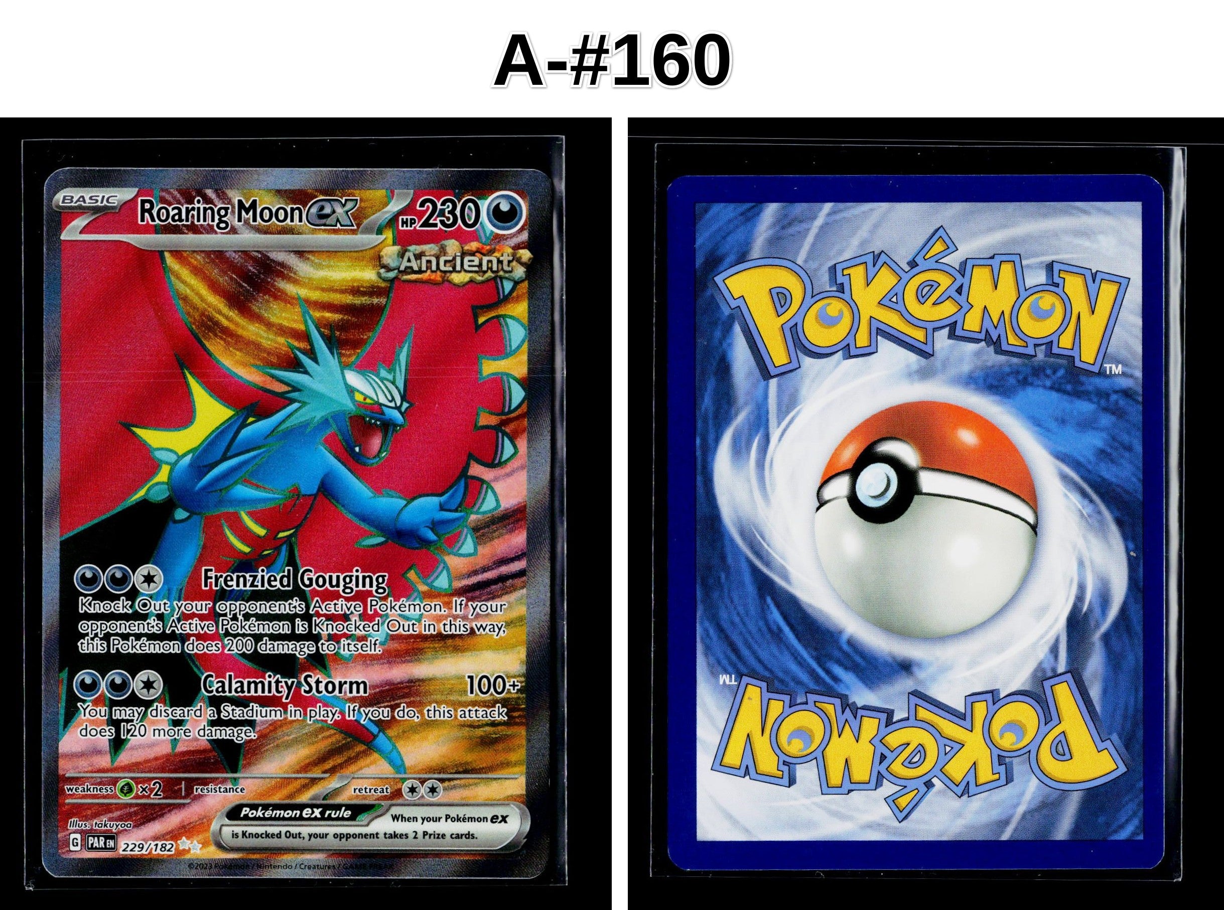 Front + Back scan