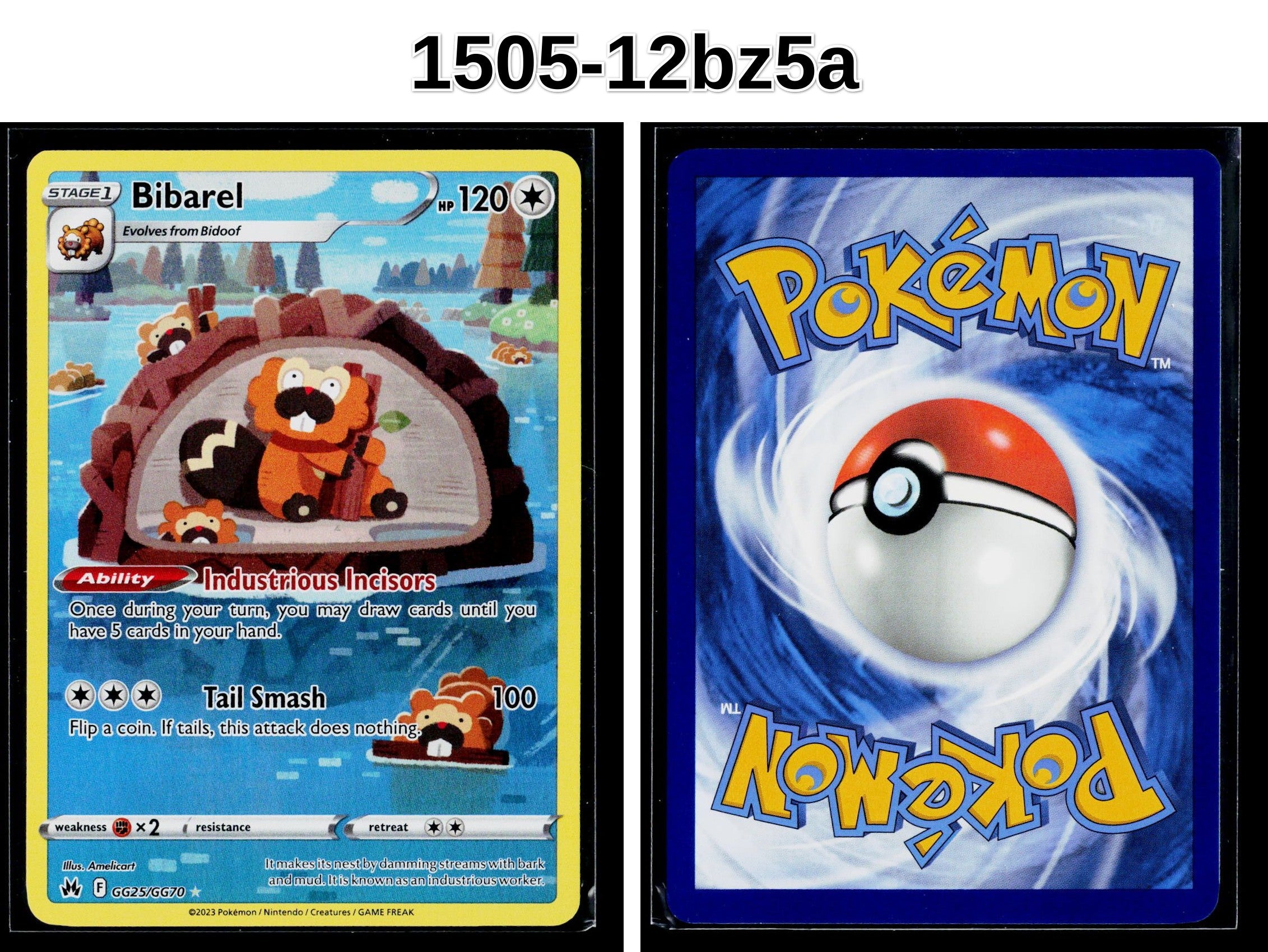 Front + Back scan