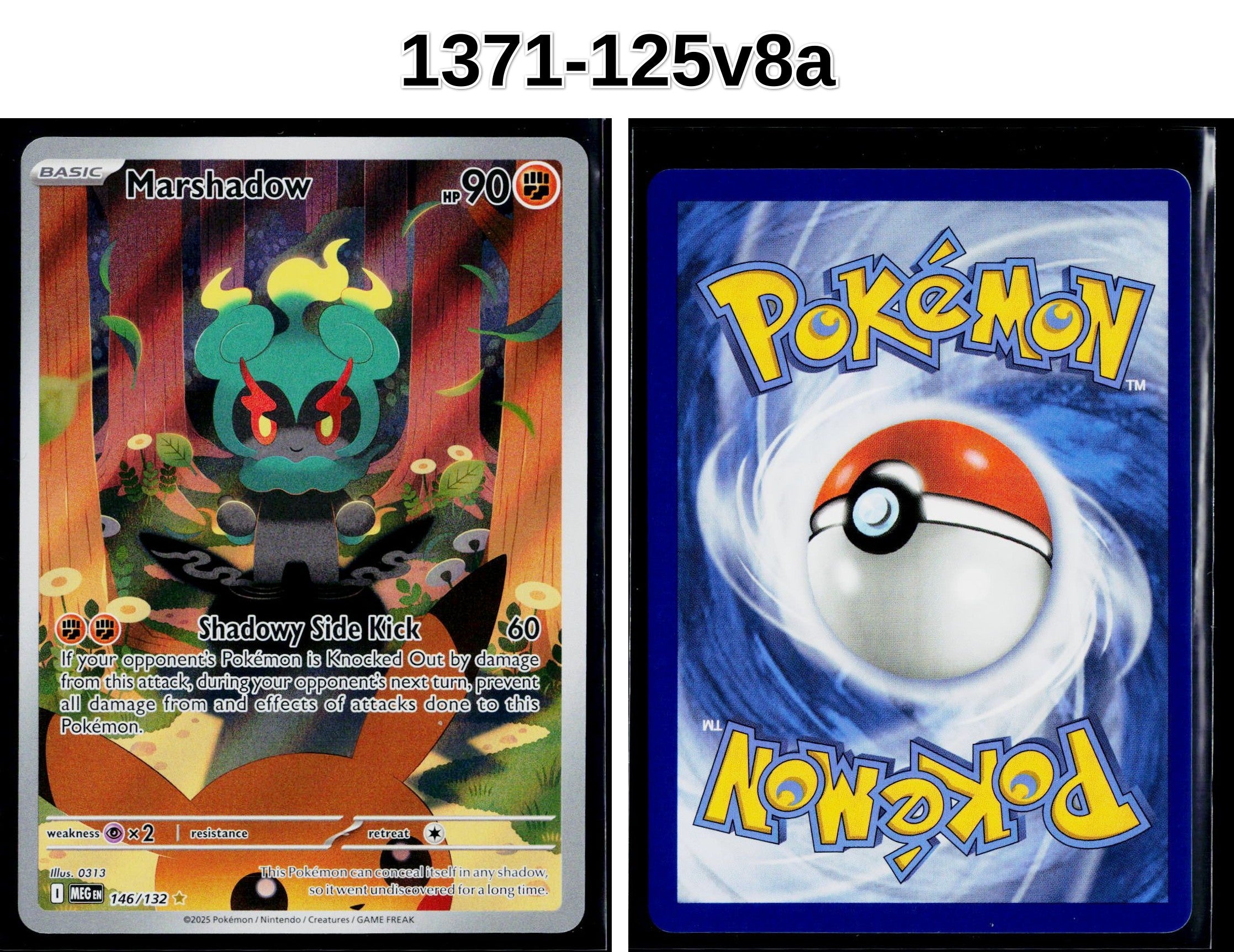 Front + Back scan