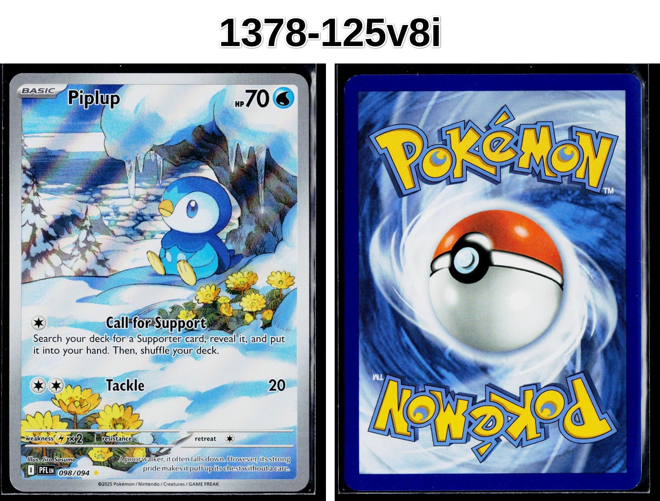 Front + Back scan
