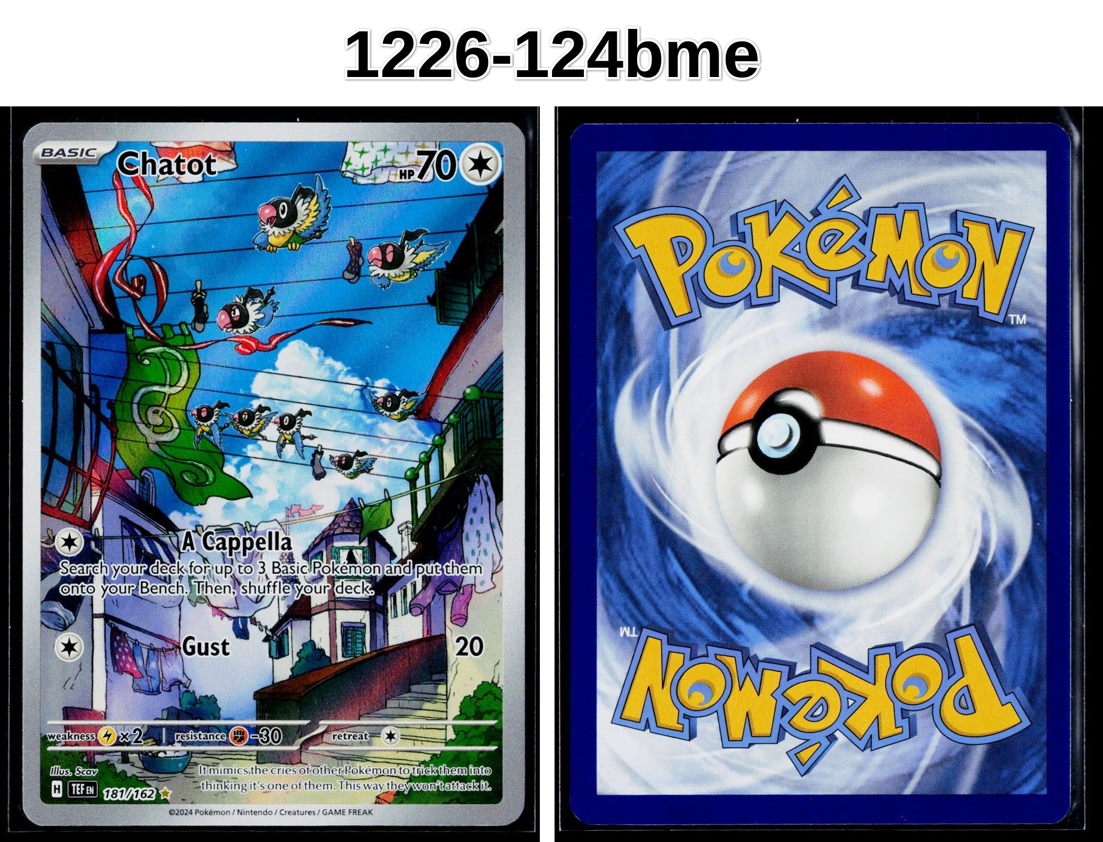 Front + Back scan