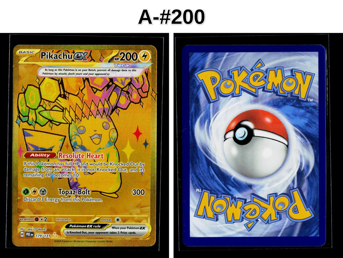 Front + Back scan