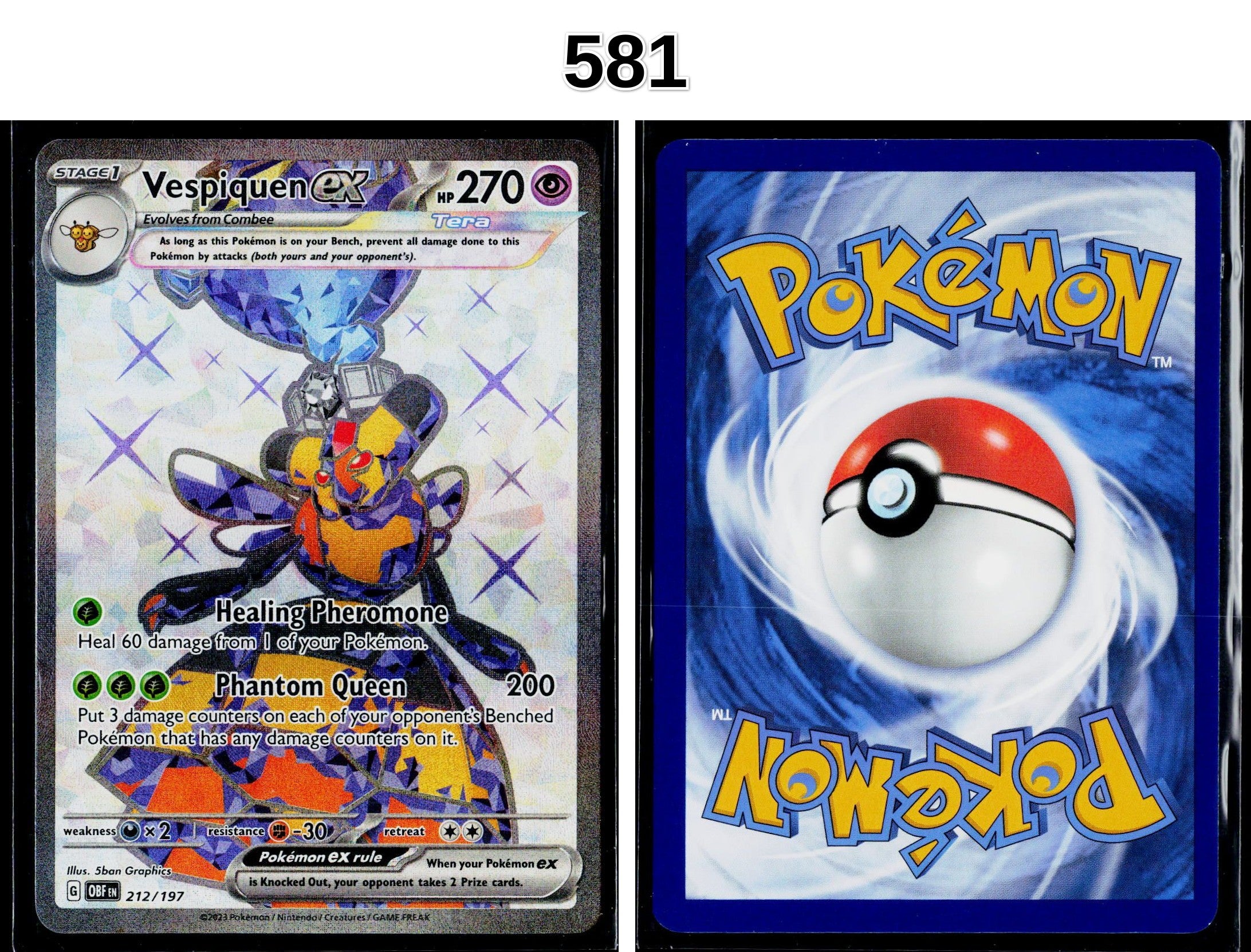 Front + Back scan