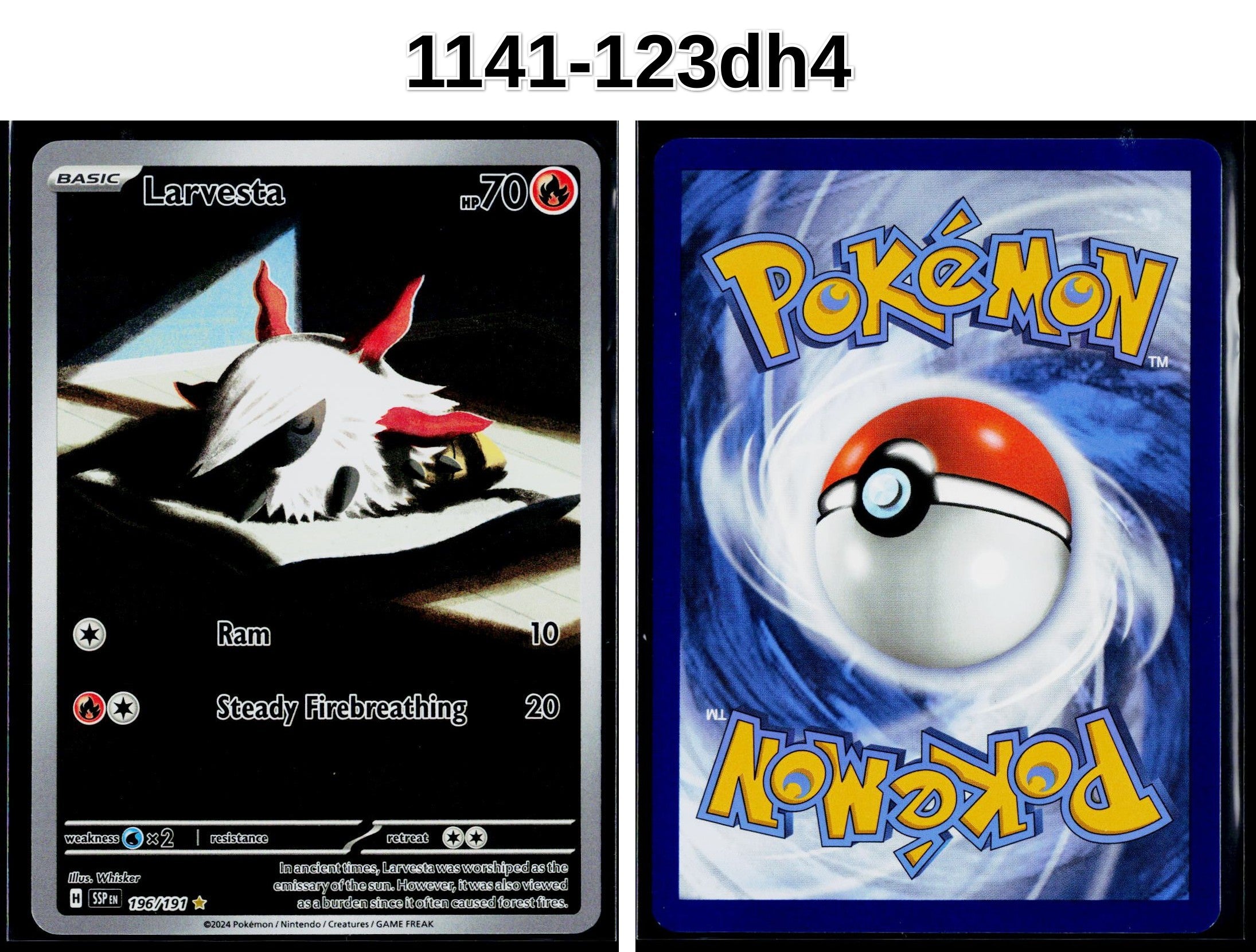 Front + Back scan