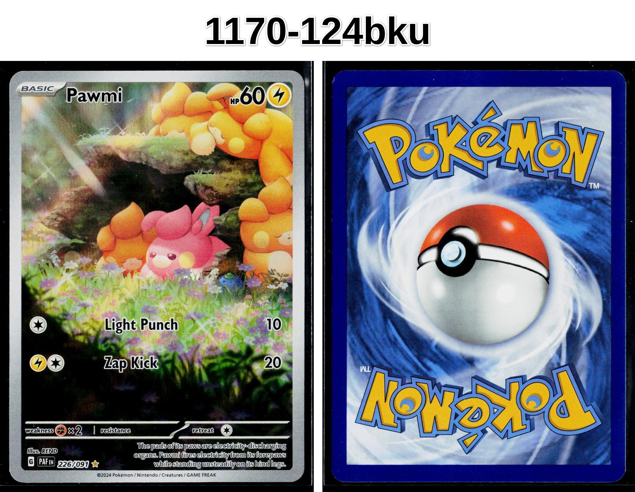 Front + Back scan