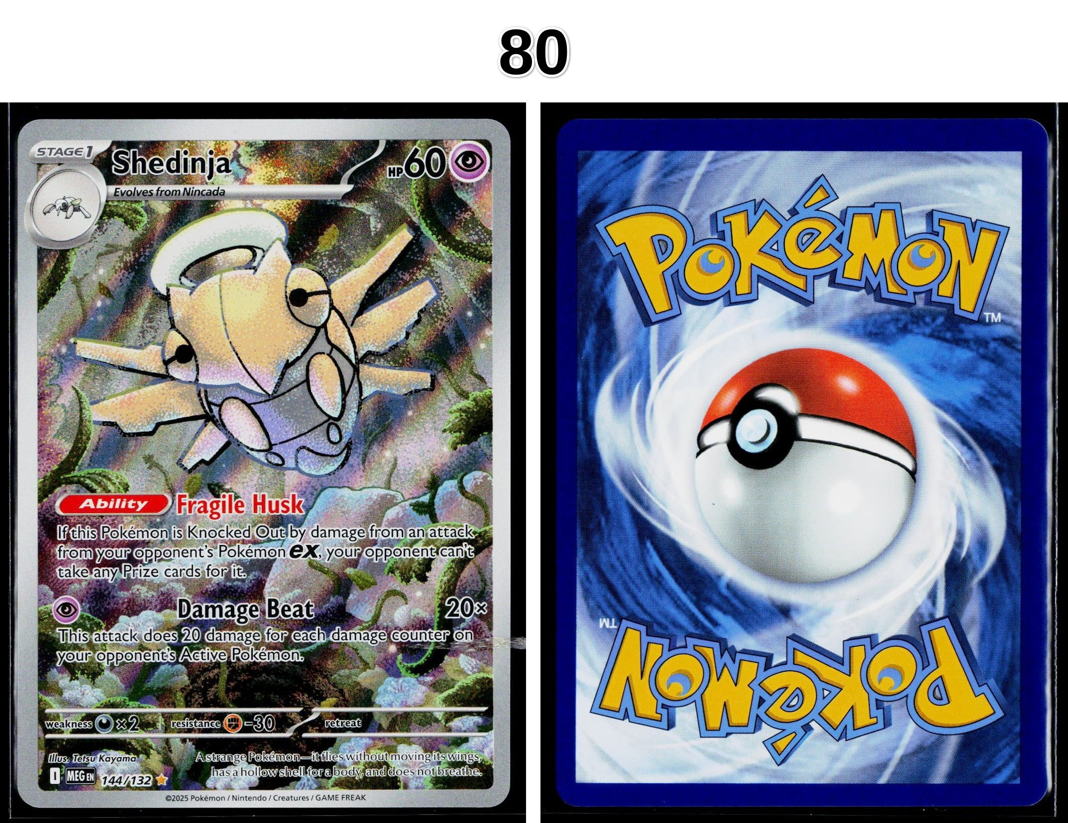 Front + Back scan
