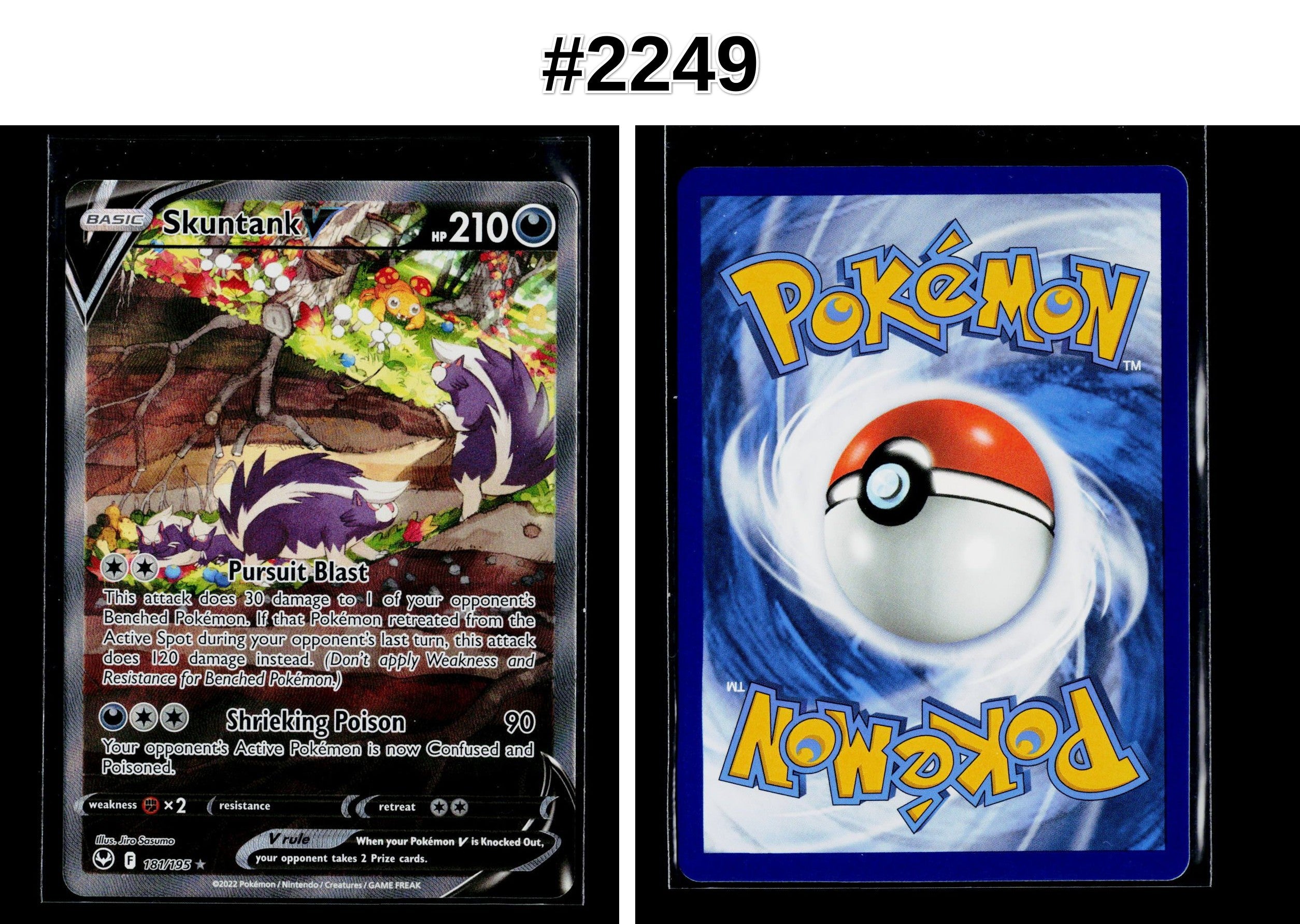 Front + Back scan