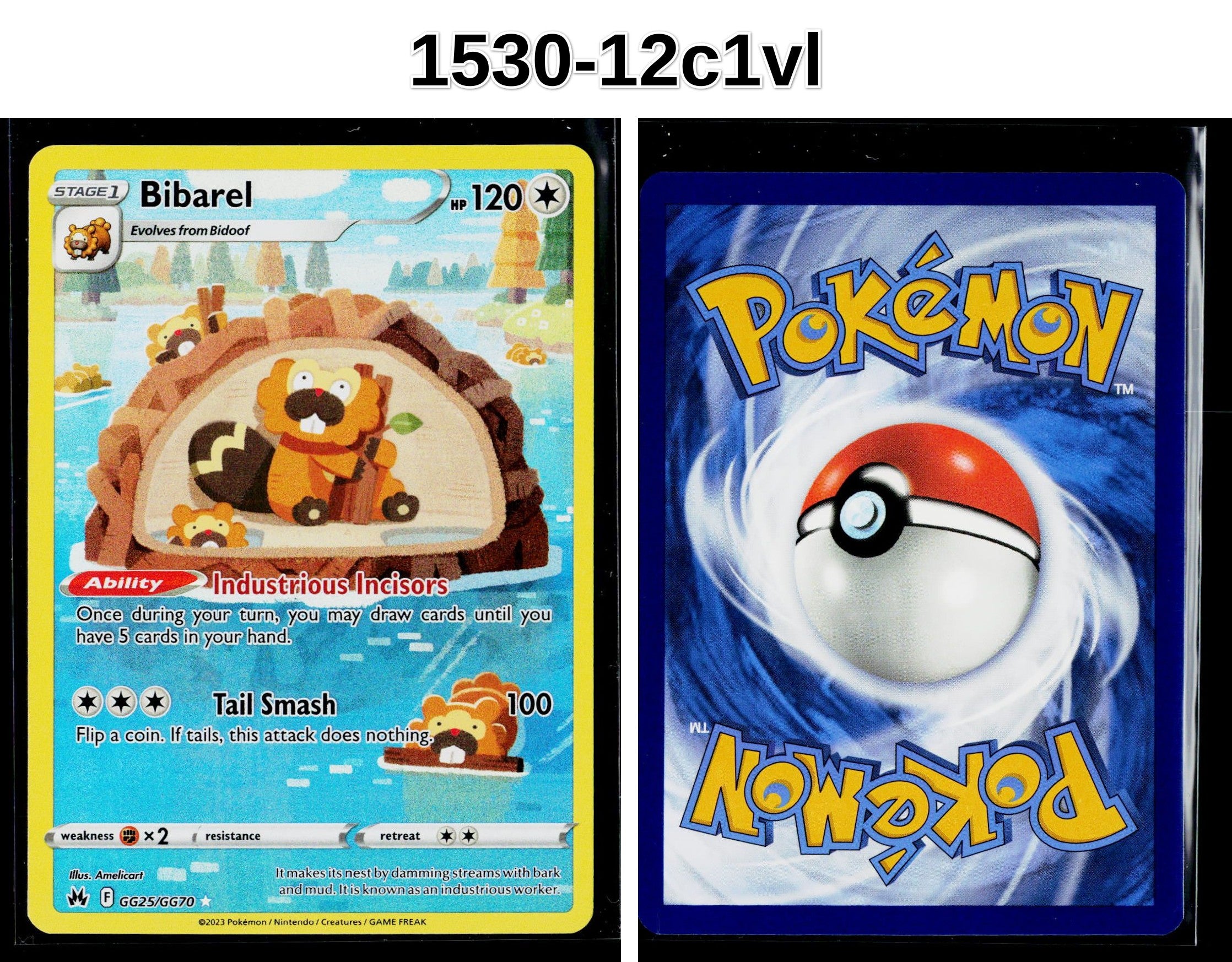 Front + Back scan