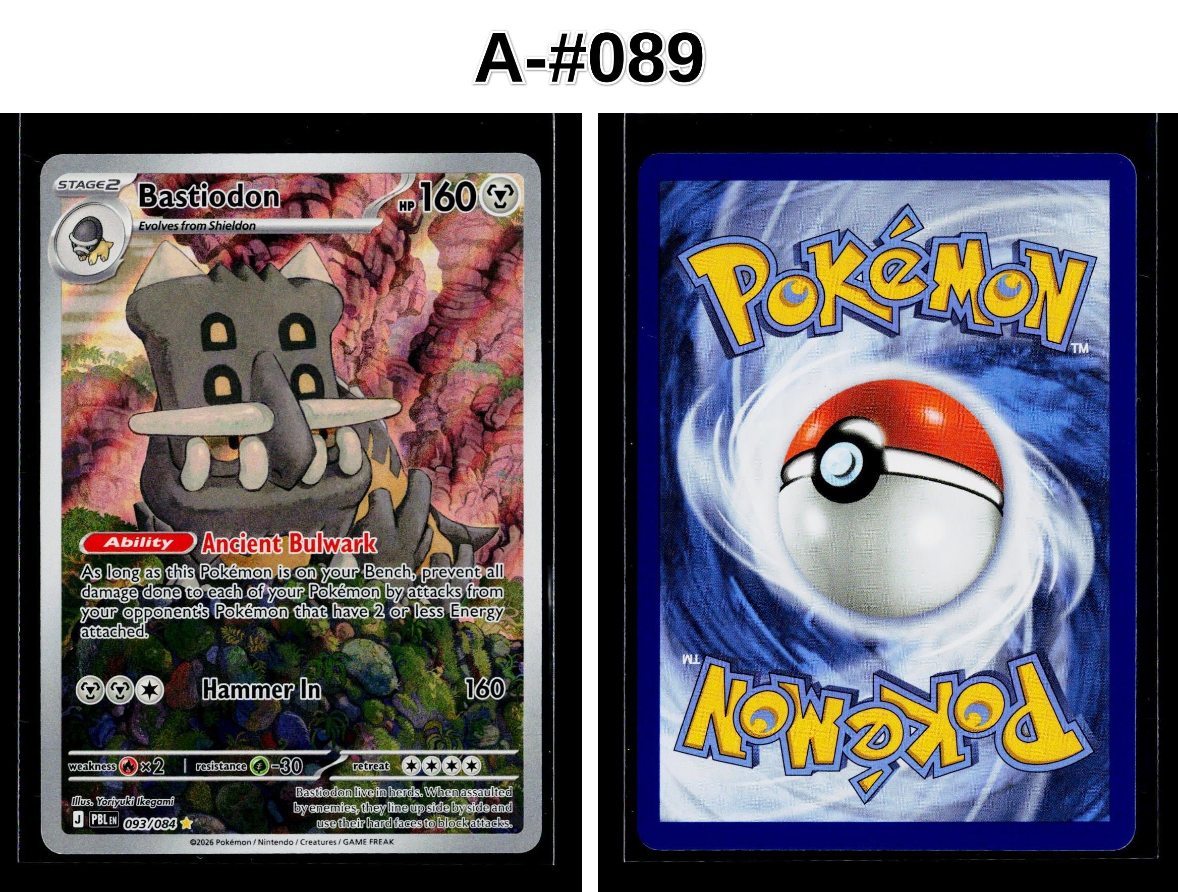 Front + Back scan