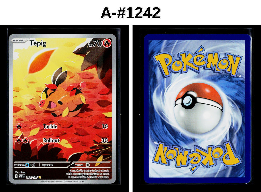 Front + Back scan | Near Mint / A-#1242 / Holofoil