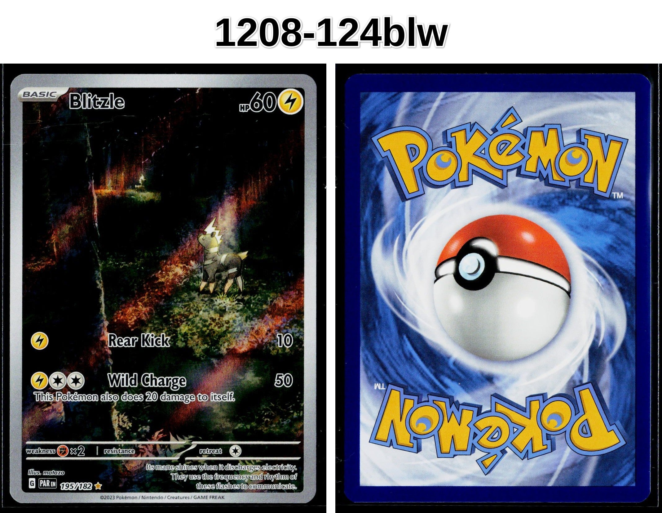 Front + Back scan