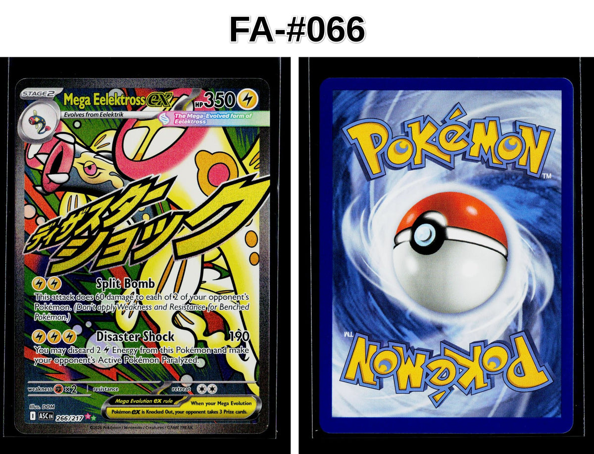 Front + Back scan