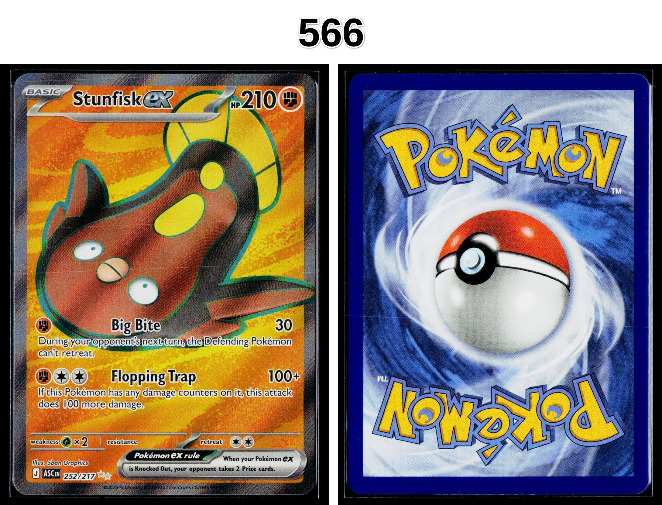 Front + Back scan