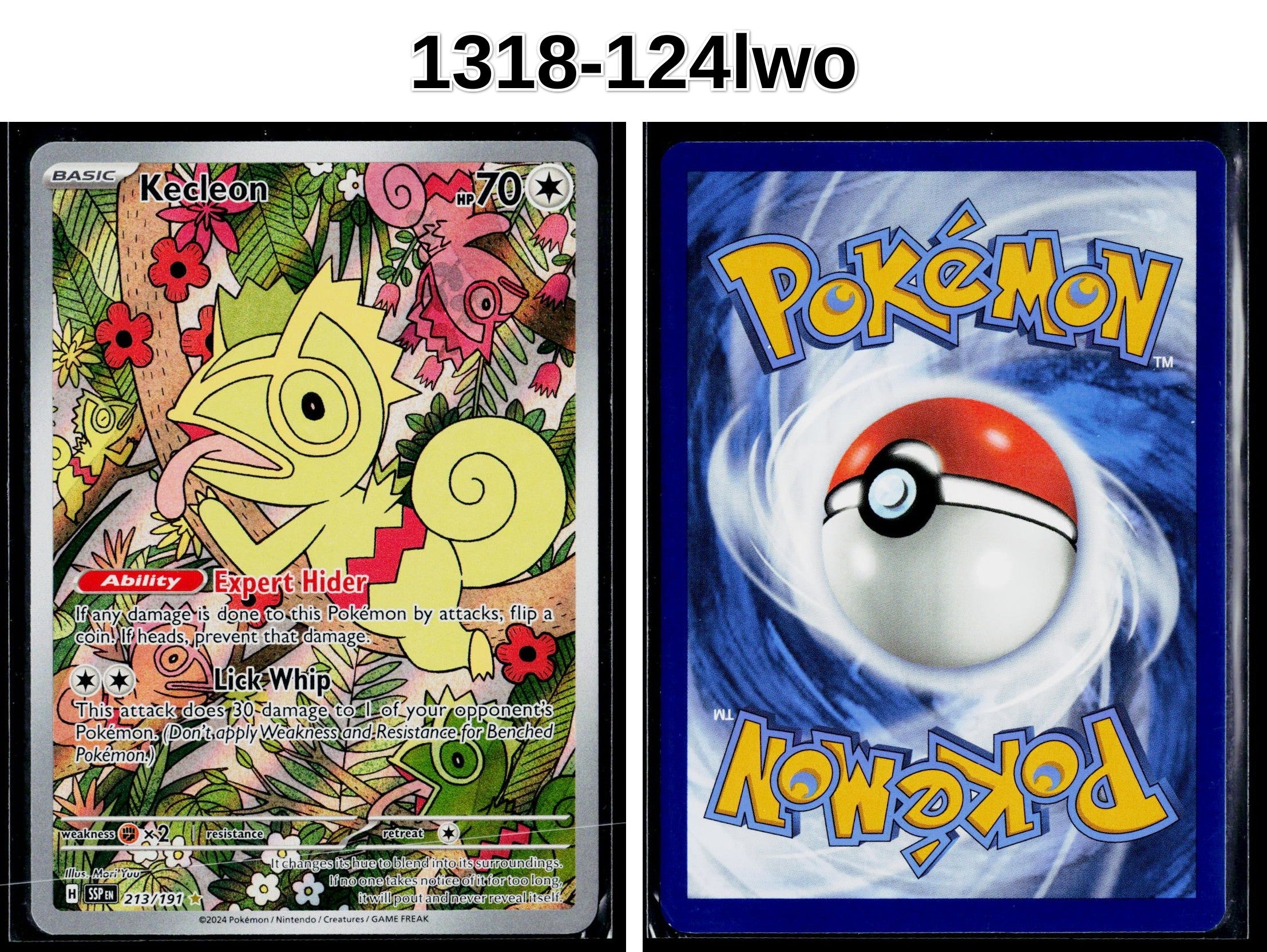 Front + Back scan