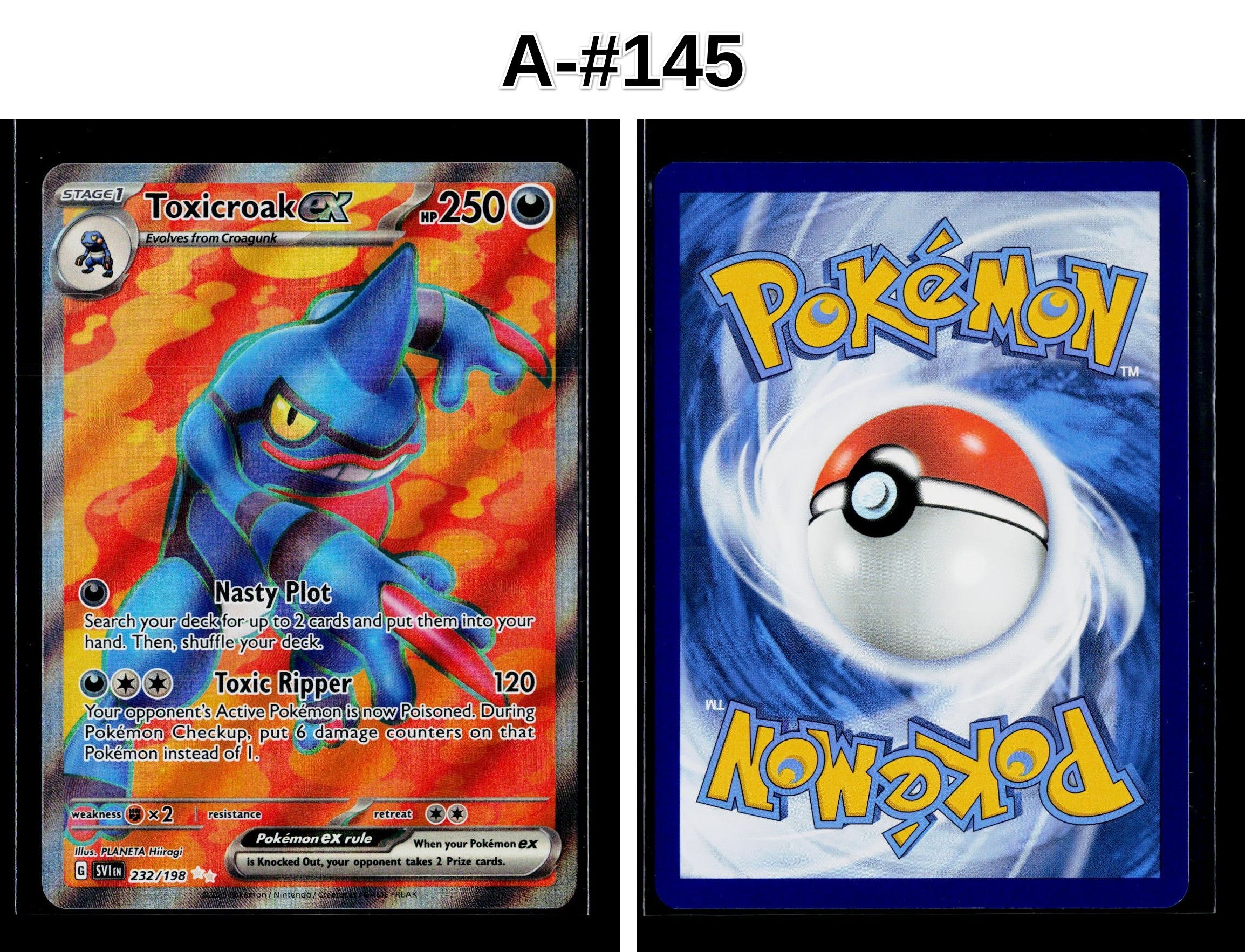 Front + Back scan