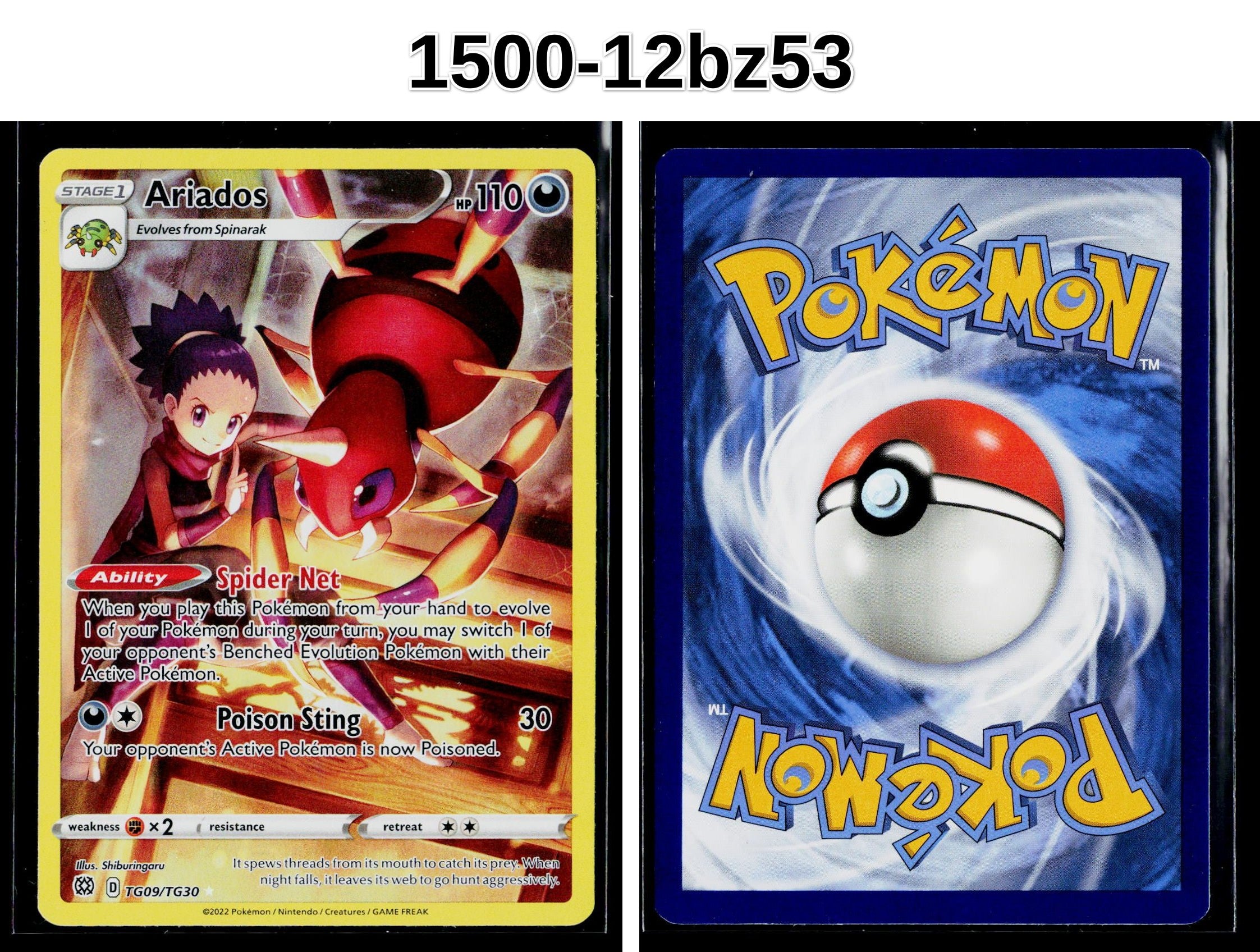 Front + Back scan