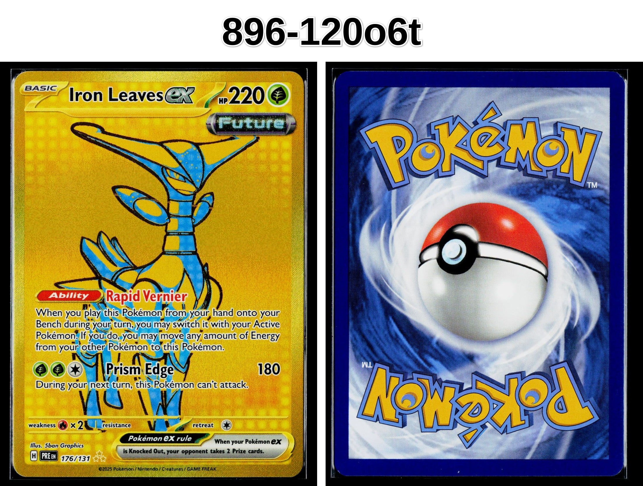 Front + Back scan