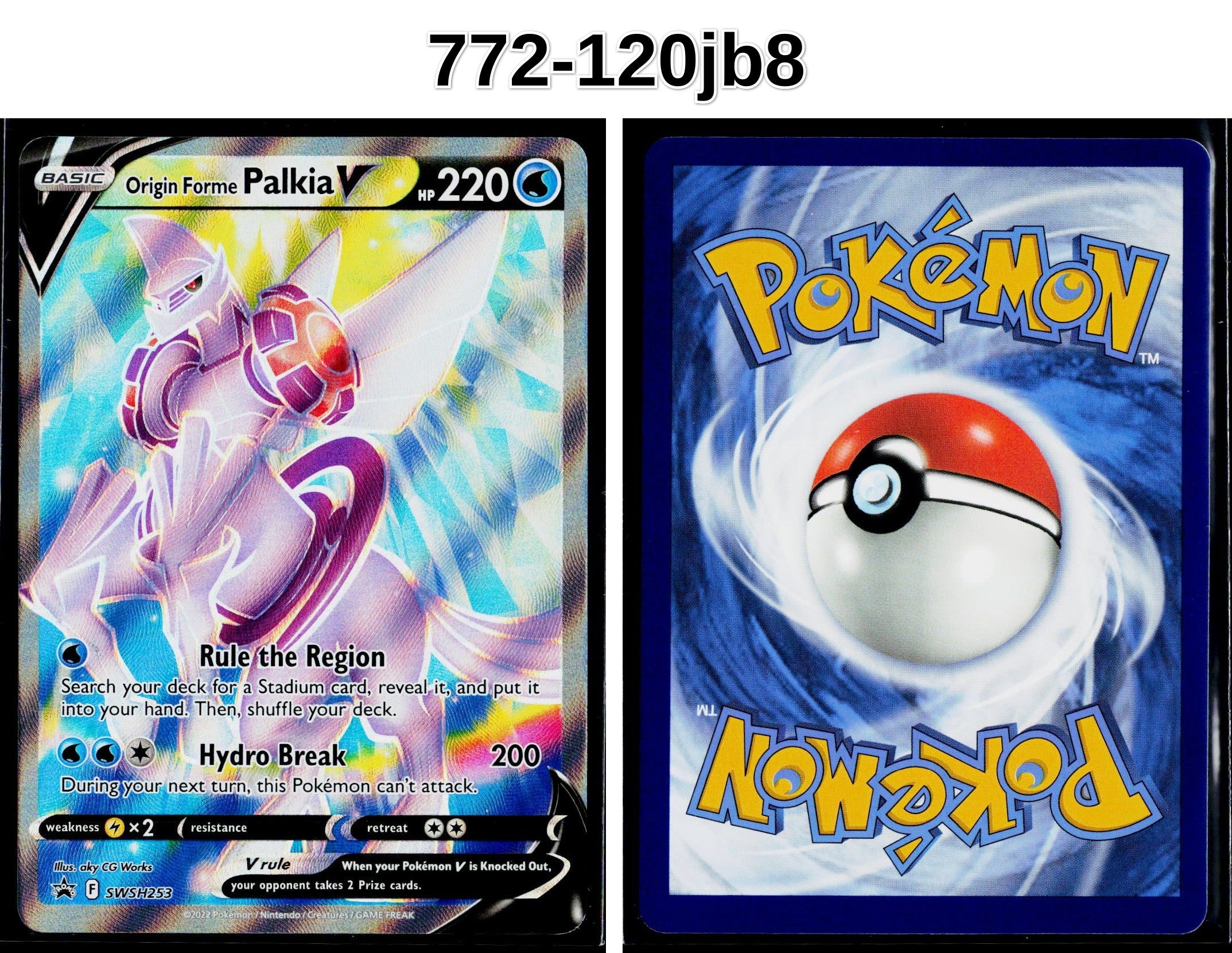 Front + Back scan