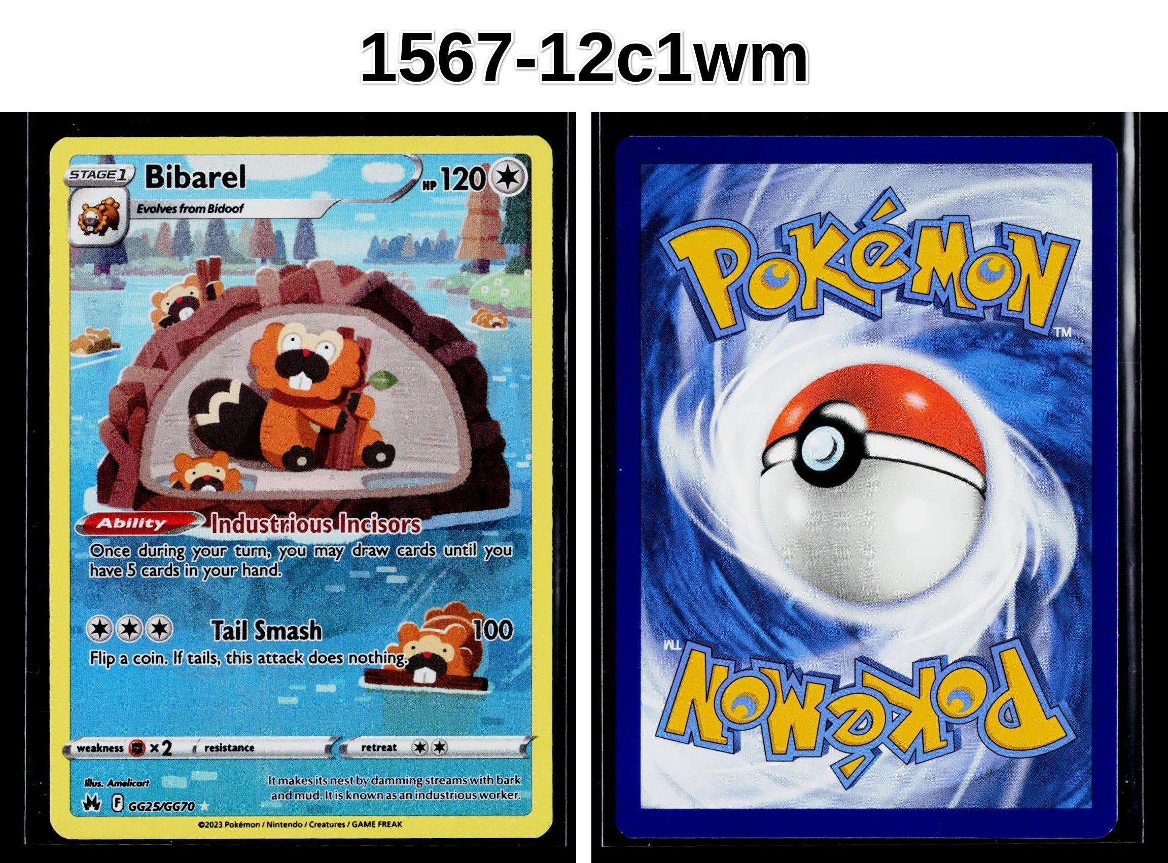 Front + Back scan